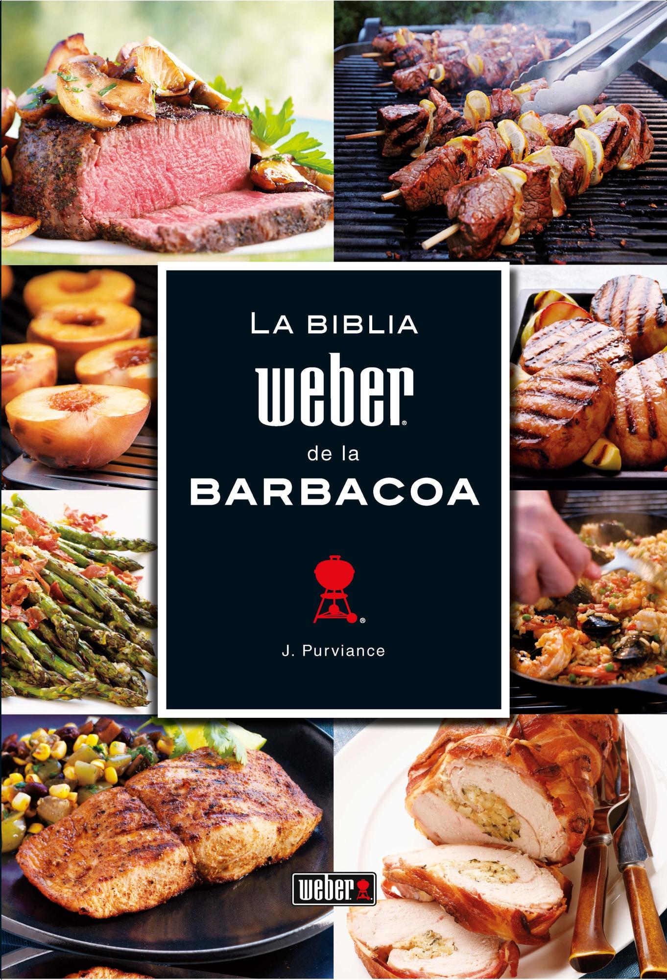 La biblia weber de la barbacoa de la marca Weber
