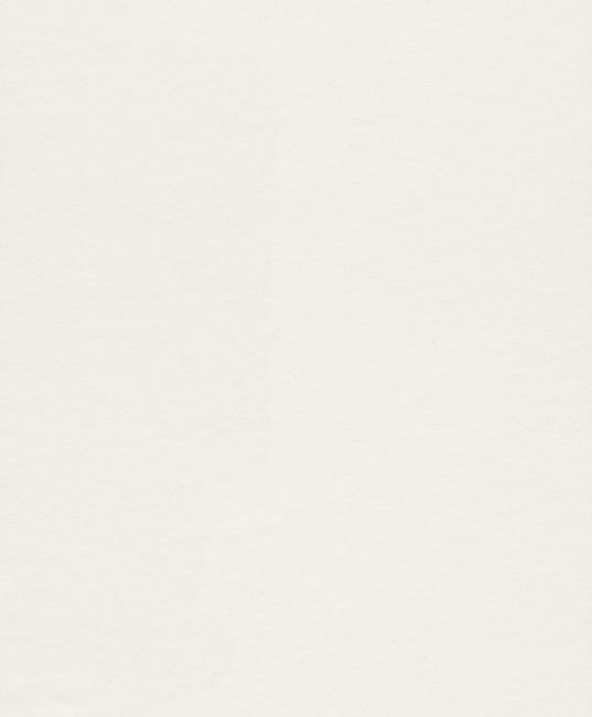 Papel pintado liso Forro Premium Cubre Gotelé 150 Gr blanco
