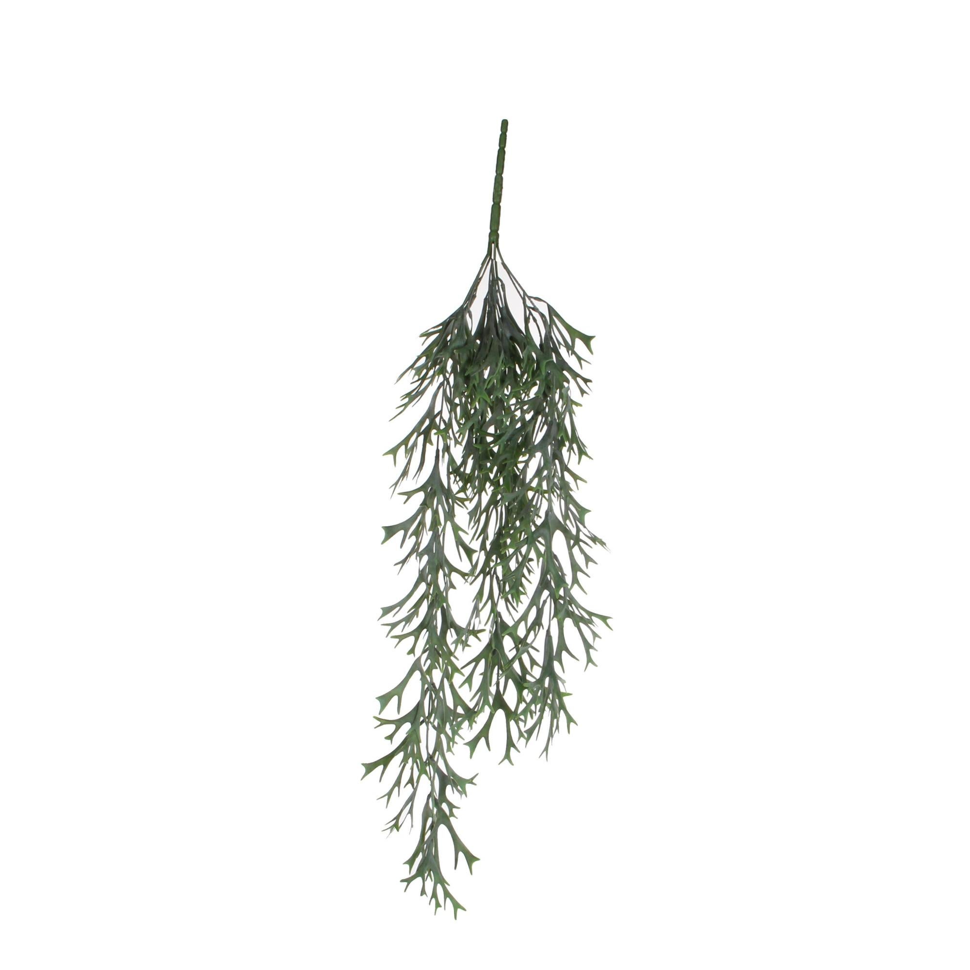 nappa (stile # KTH8-PY) citronella verde multicolore #PR12