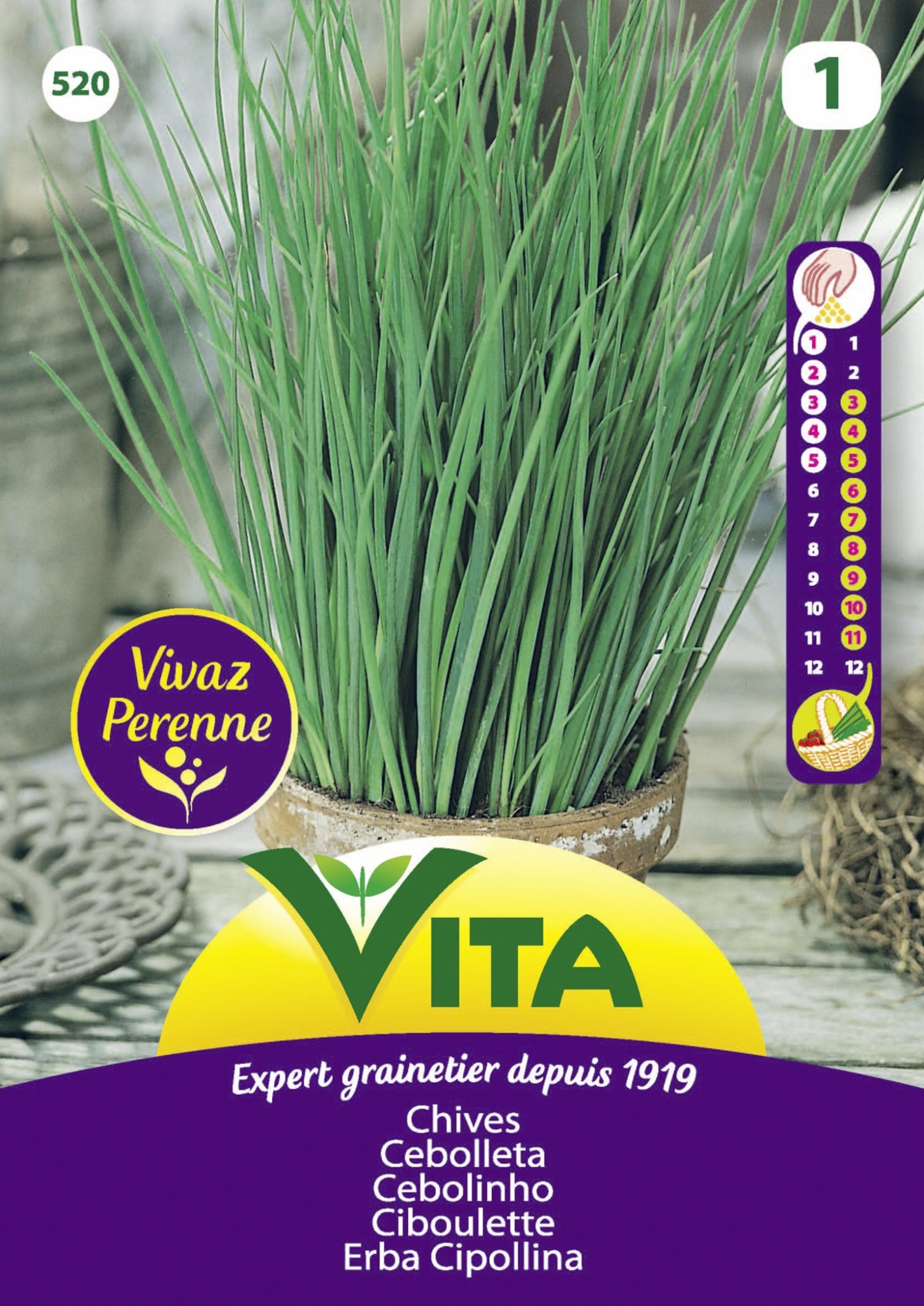 Semillas de cebolleta