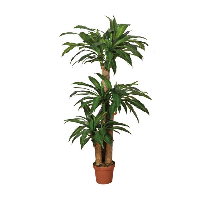 Planta artificial Dracena de 145 cm en maceta de 20 cm | Leroy Merlin