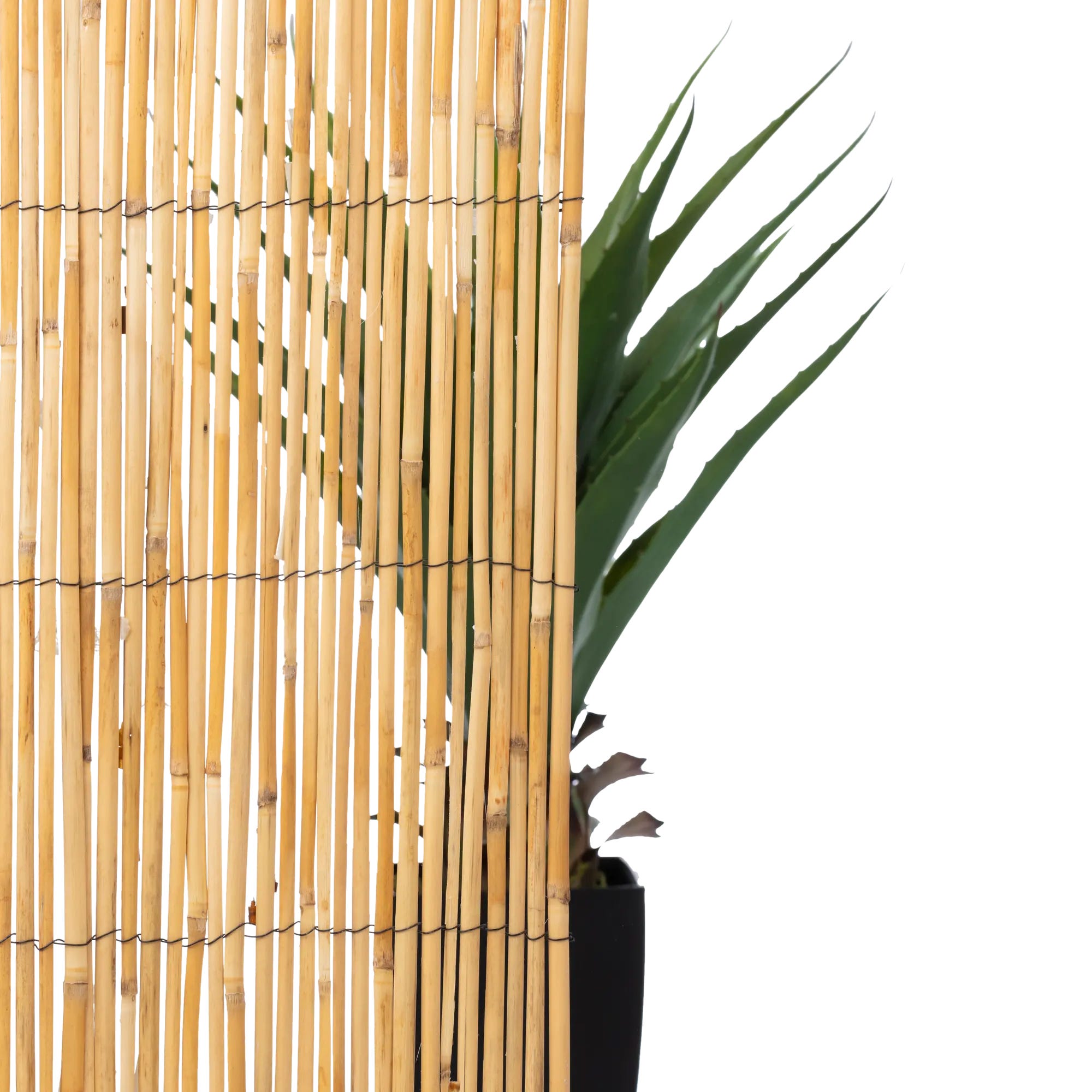 Cañizo bambú fino NATERIAL 2 x 3 m