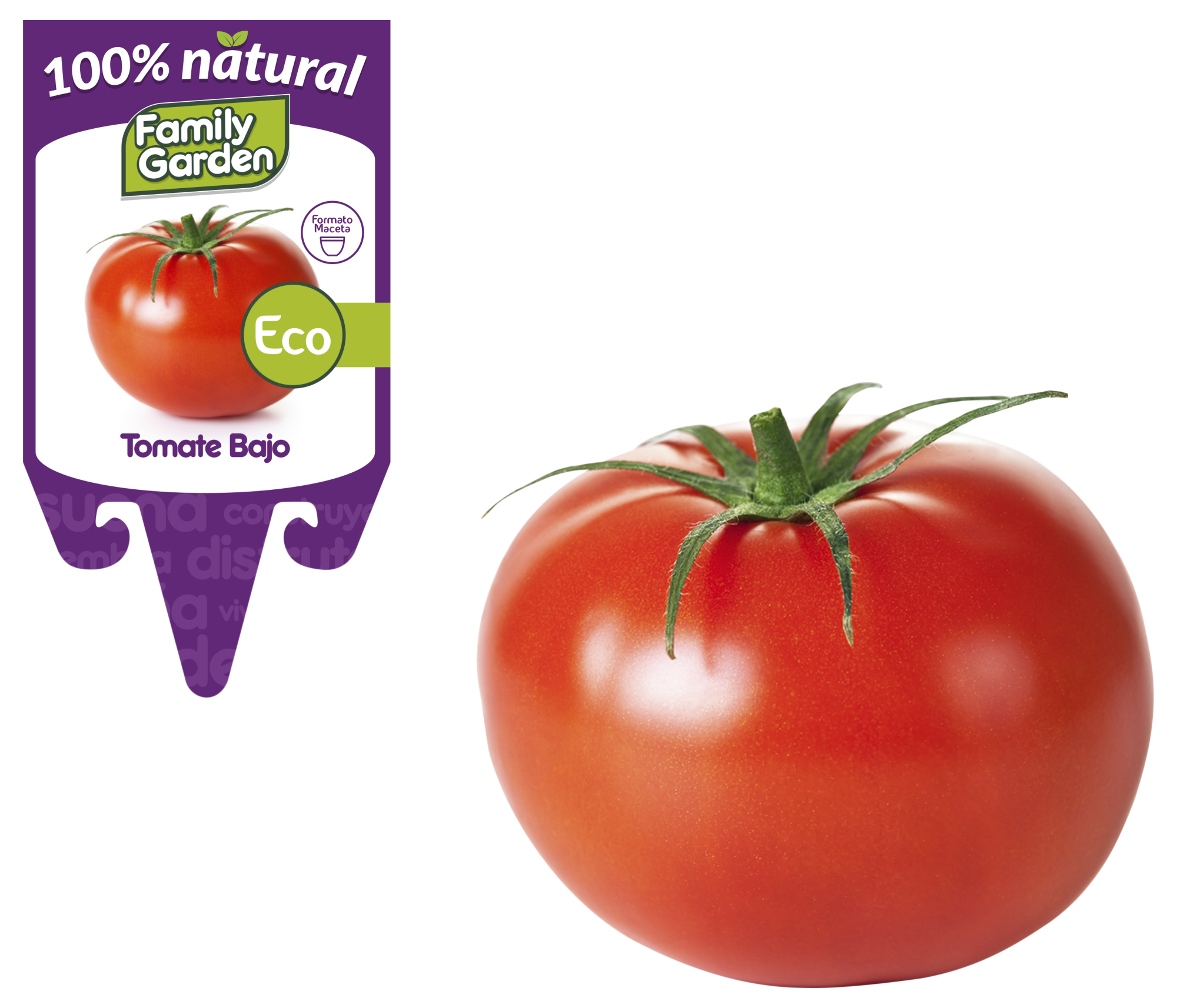 Tomate Cuerno De Los Andes - Semillas Sin Tratamiento