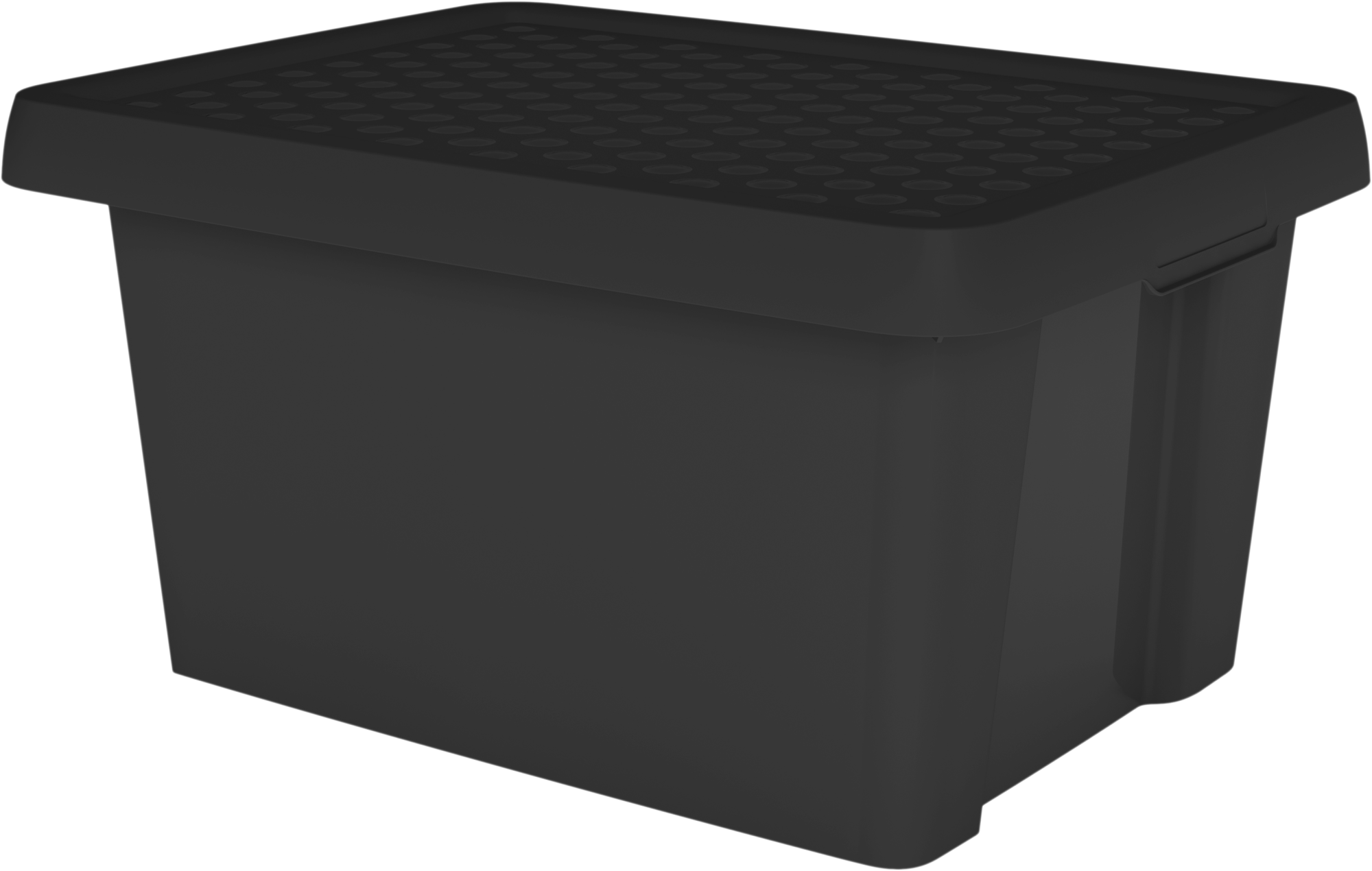 Eléctrico desempleo Permitirse Caja plástico negro de 20x39x29 cm y capacidad de 16 L | Leroy Merlin