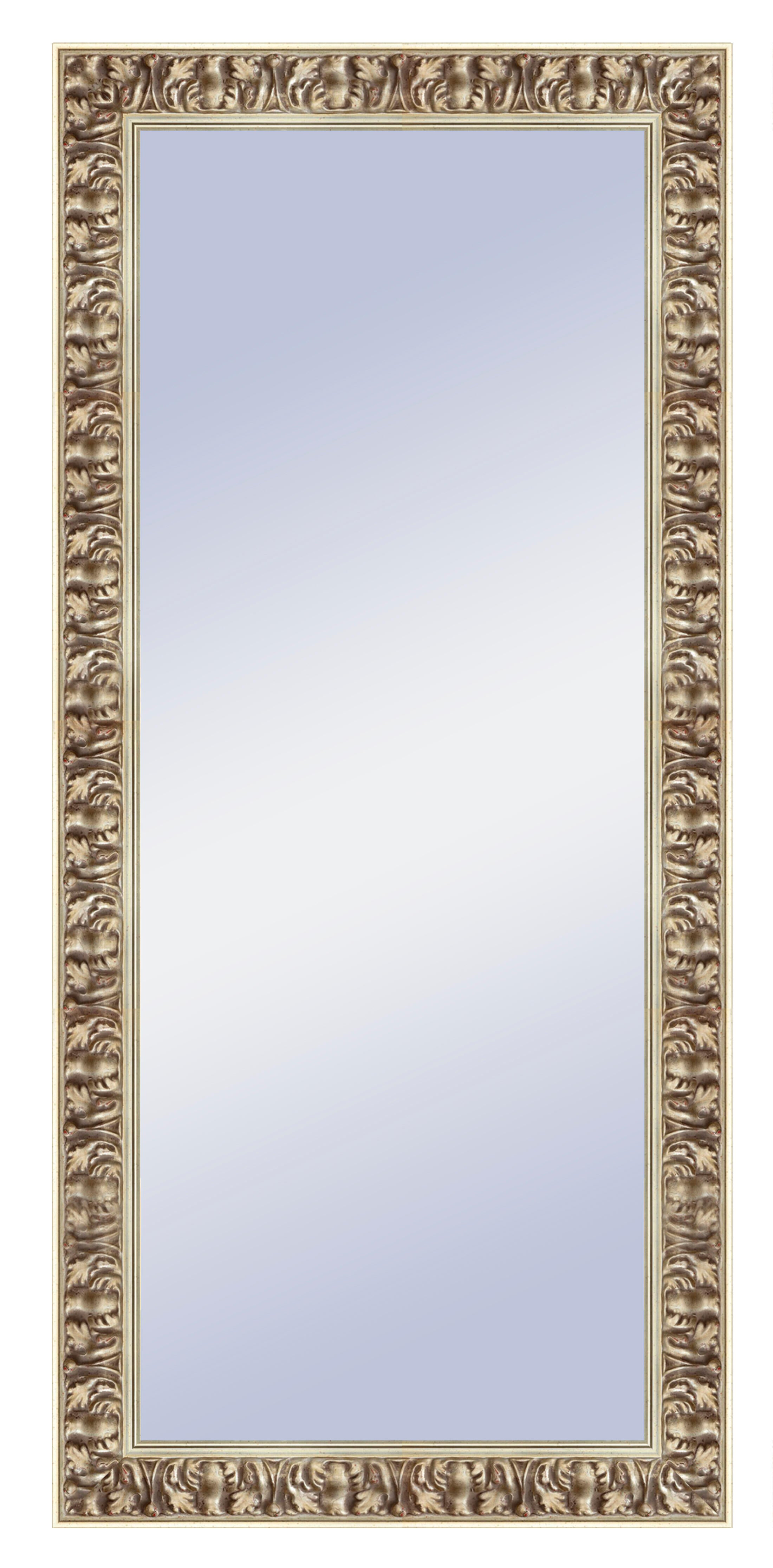 Espejo enmarcado rectangular gisele barroco plata 147 x 67 cm