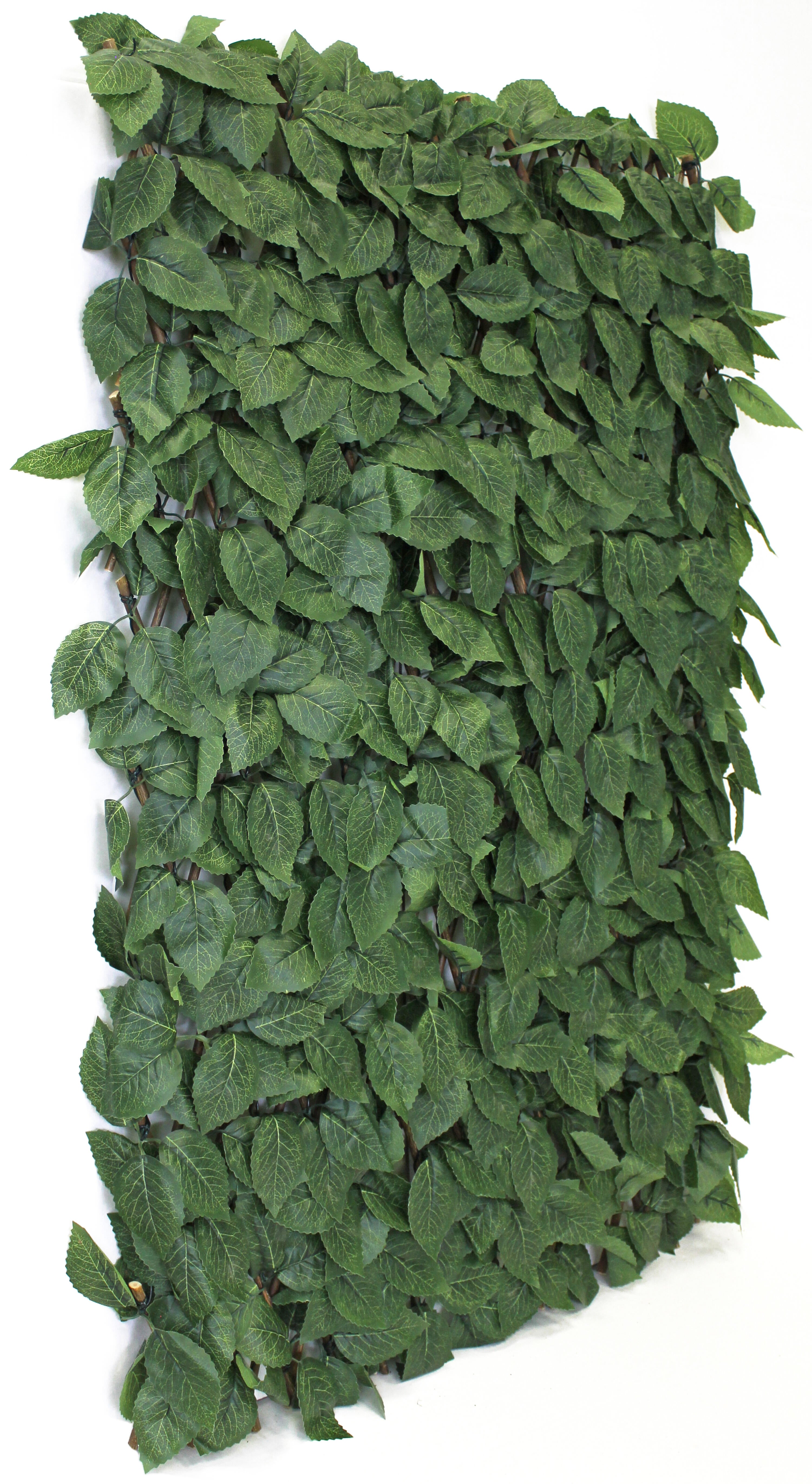 Celosía extensible de rattan verde 100x150 cm