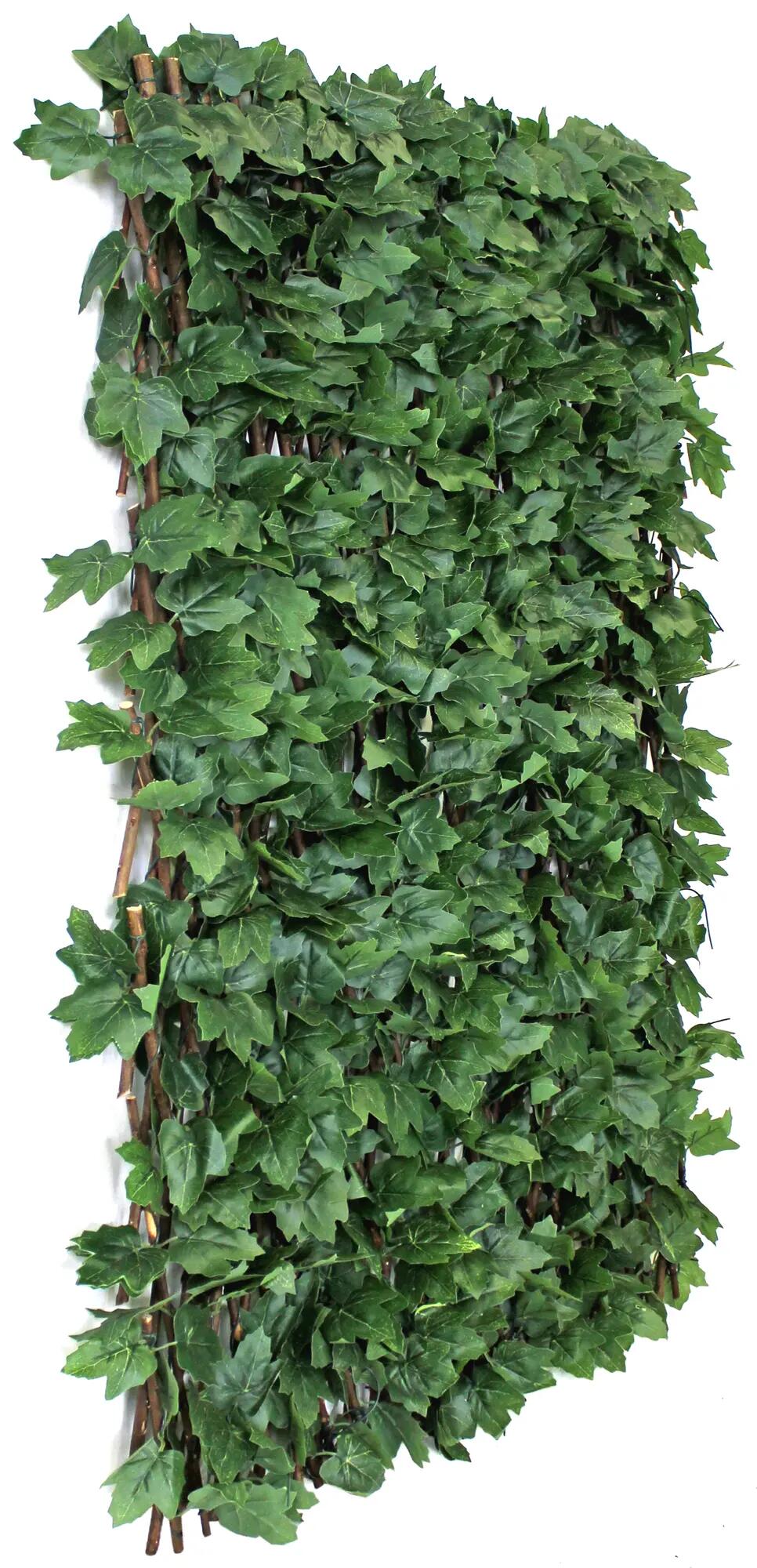 Comprar Celosia extensible mimbre willow 2x1 - Verdecora