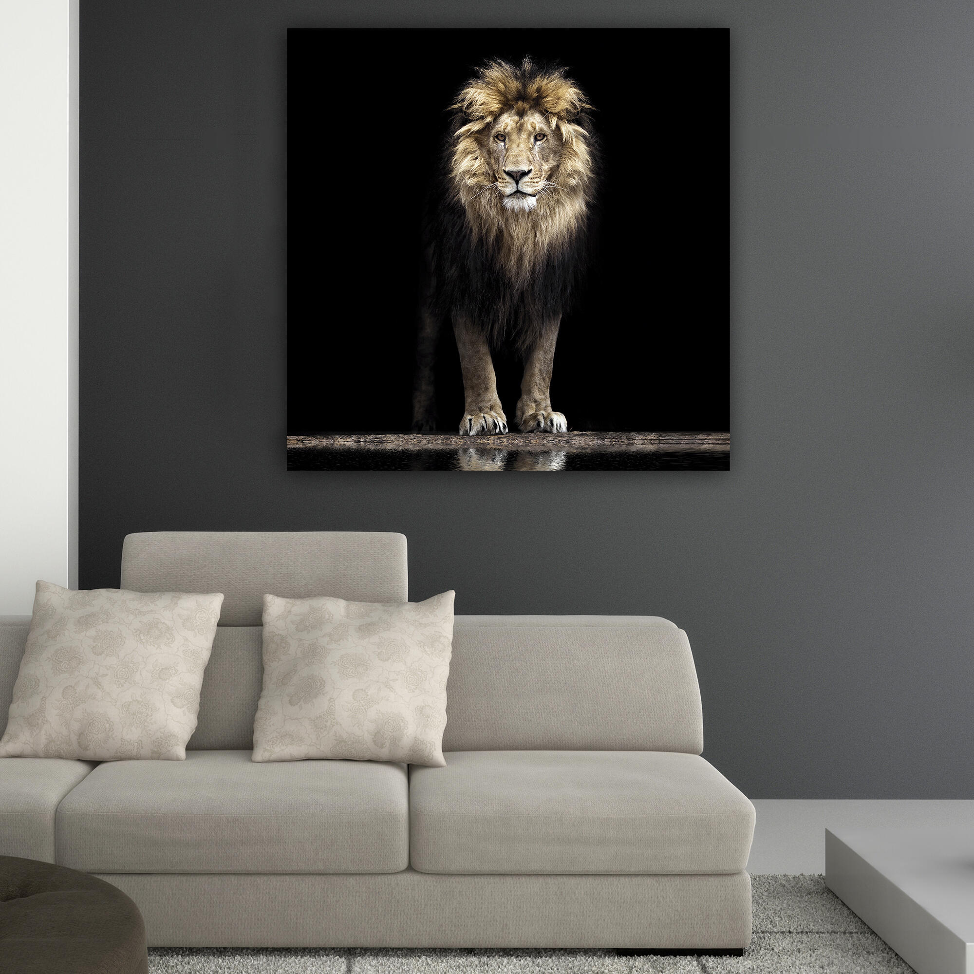 Canvas león 100x100 cm
