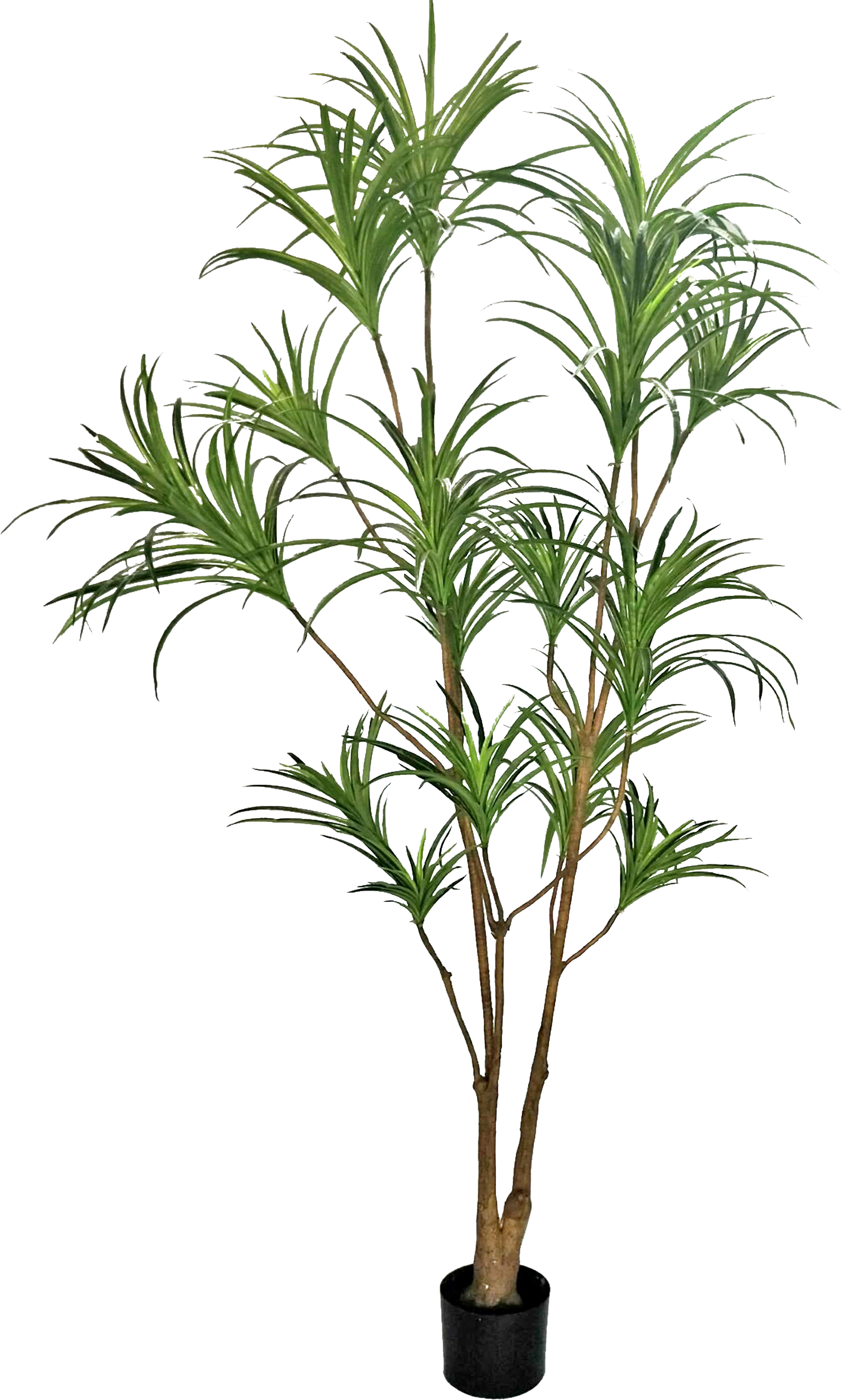Dracena planta artificial 240 cm en mazo de 19,5 cm |  Leroy Merlin