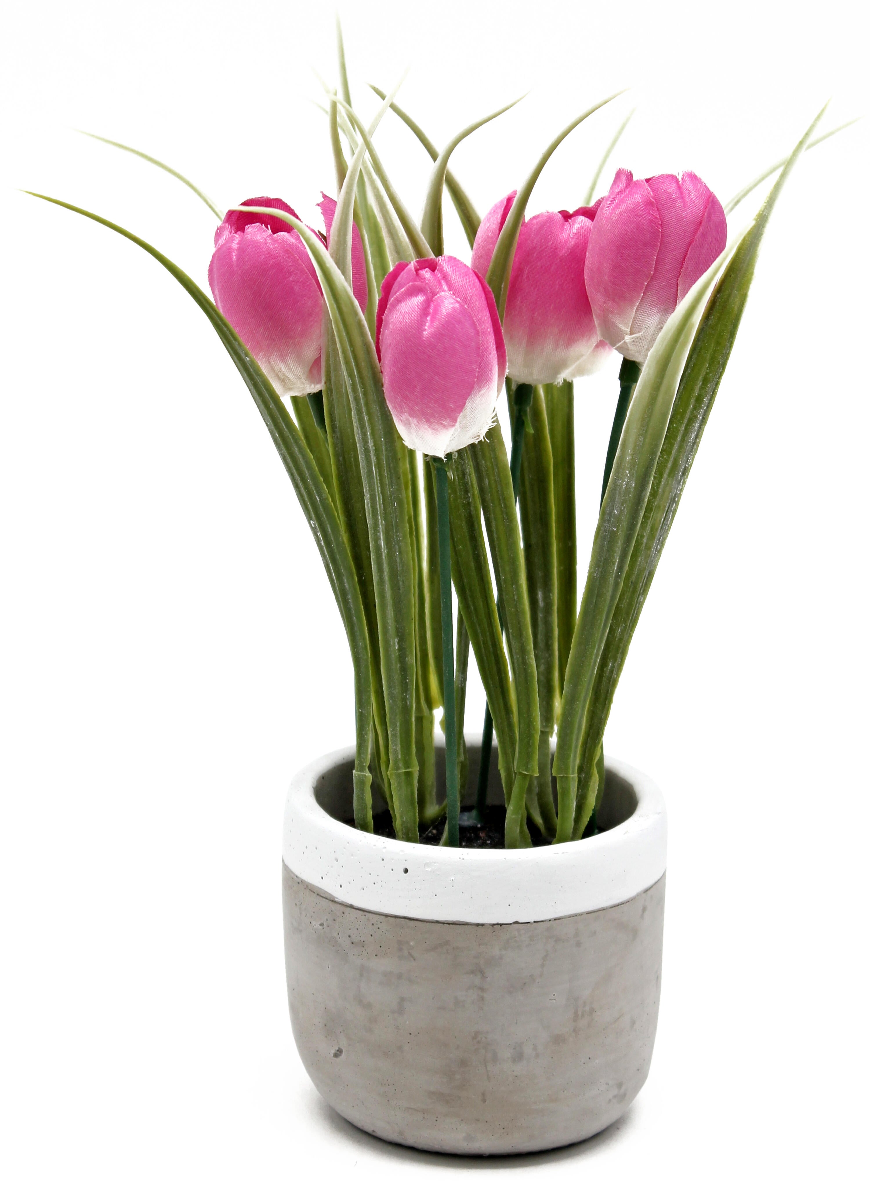 Planta artificial Tulipán Fucsia Cemento 20 cm en maceta de 8 cm | Leroy  Merlin