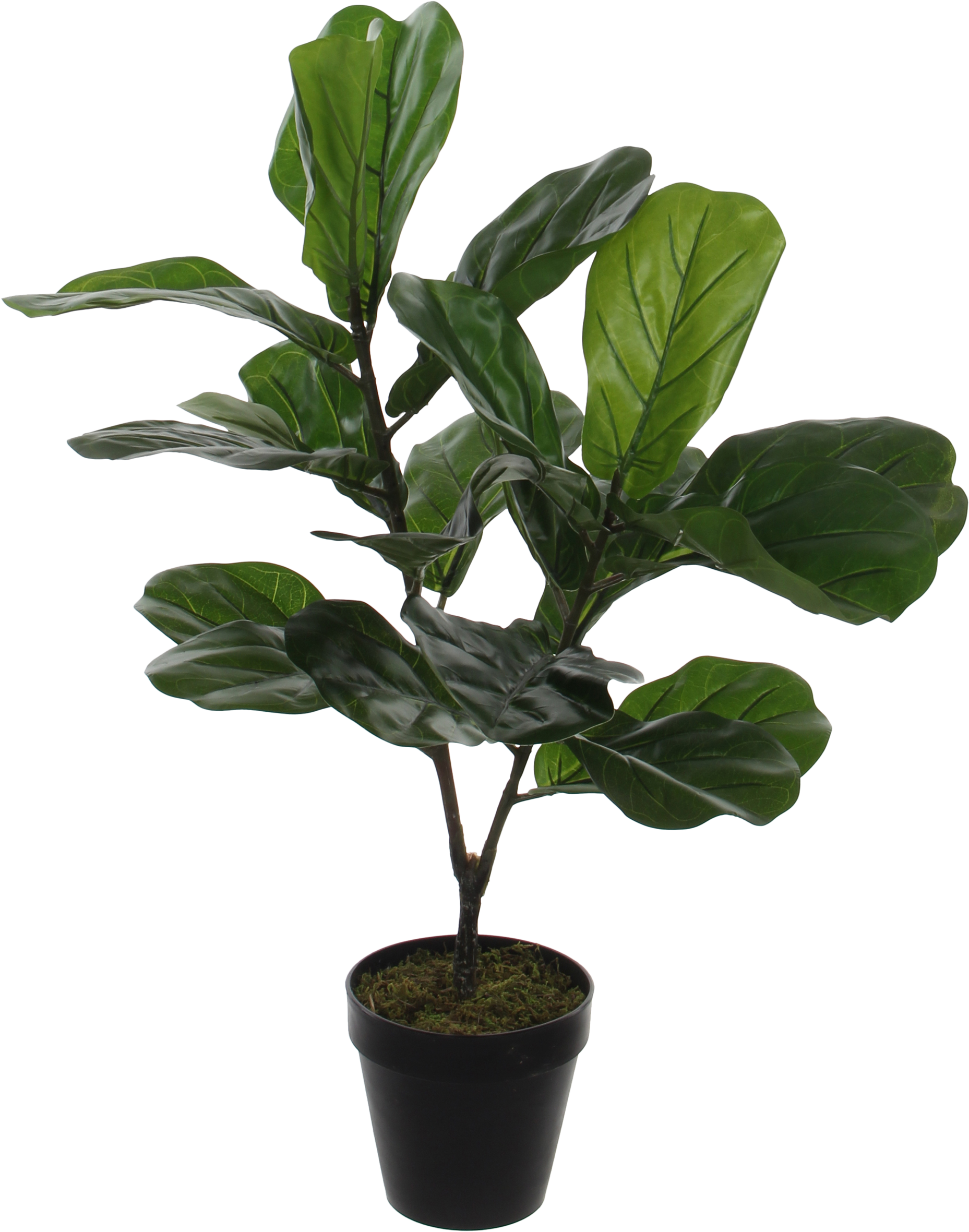 Planta artificial ficus lyrata 75 cm de altura