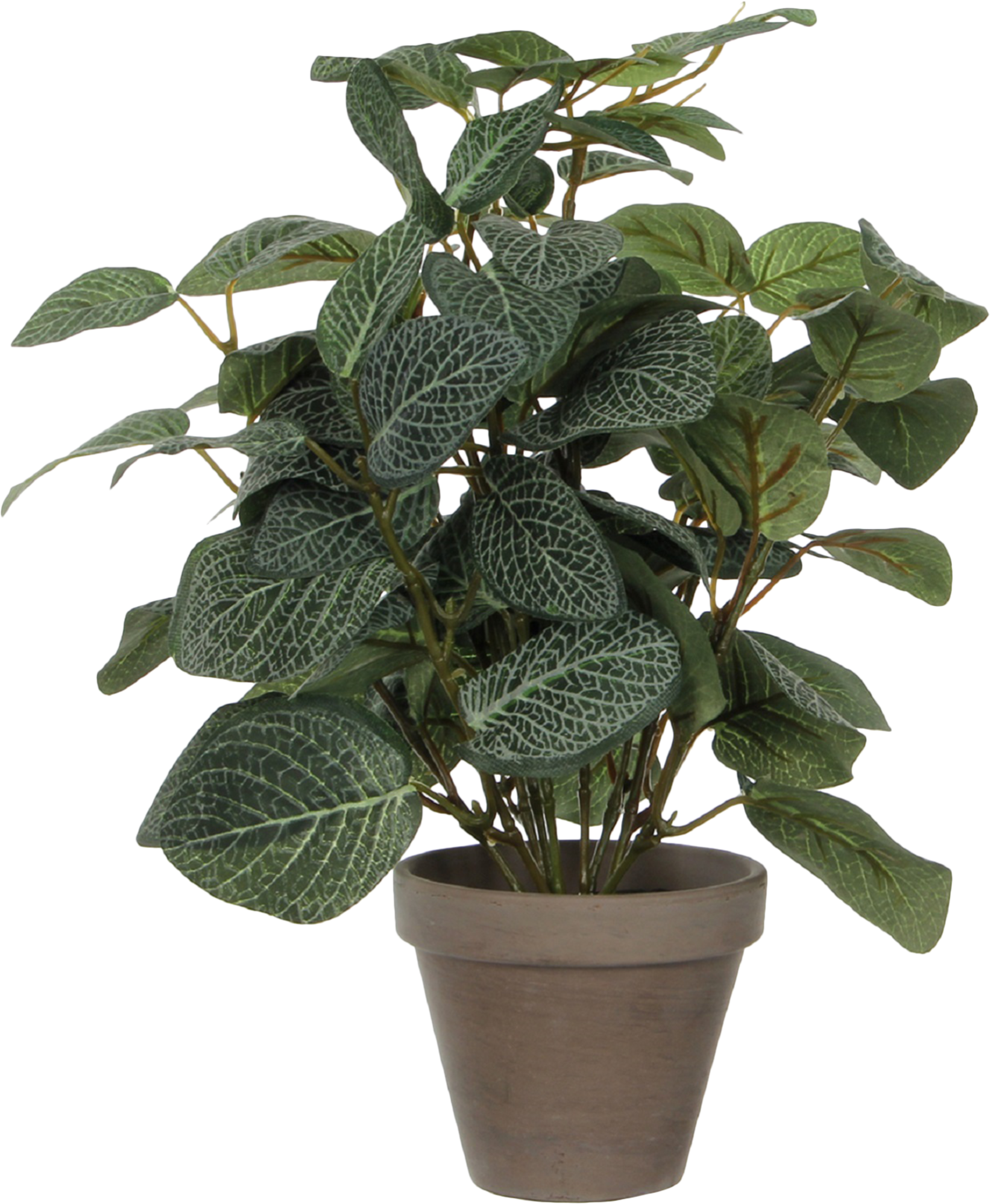 Planta artificial pilea 35 cm de altura de la marca MICA FLORAL Planta artificial pilea 35 cm de altura de la marca MICA FLORAL