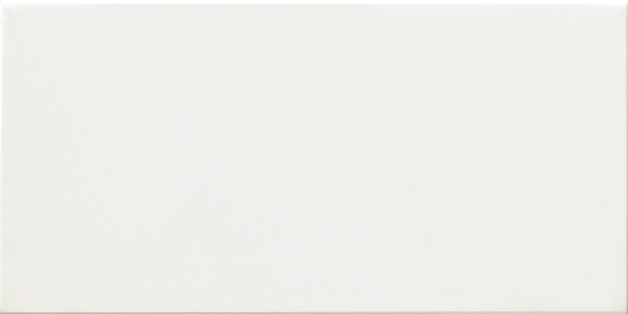 Liso Material Azulejo efecto liso blanco brillante 10x20 cm Listelos | Leroy Merlin