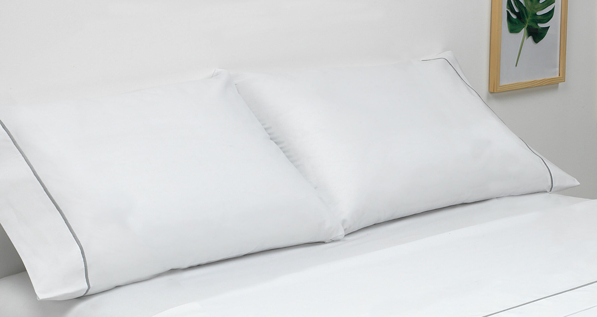 2 Fundas de almohada algodón Bordados Ramas lisa blanco de 200 hilos 45 x  75 cm