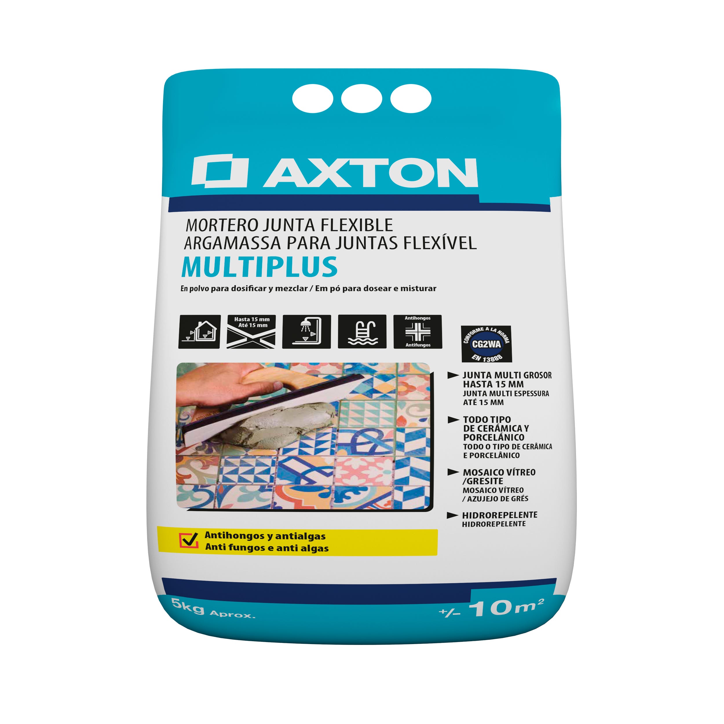 Plaste en polvo cubregotelé AXTON 15 kg