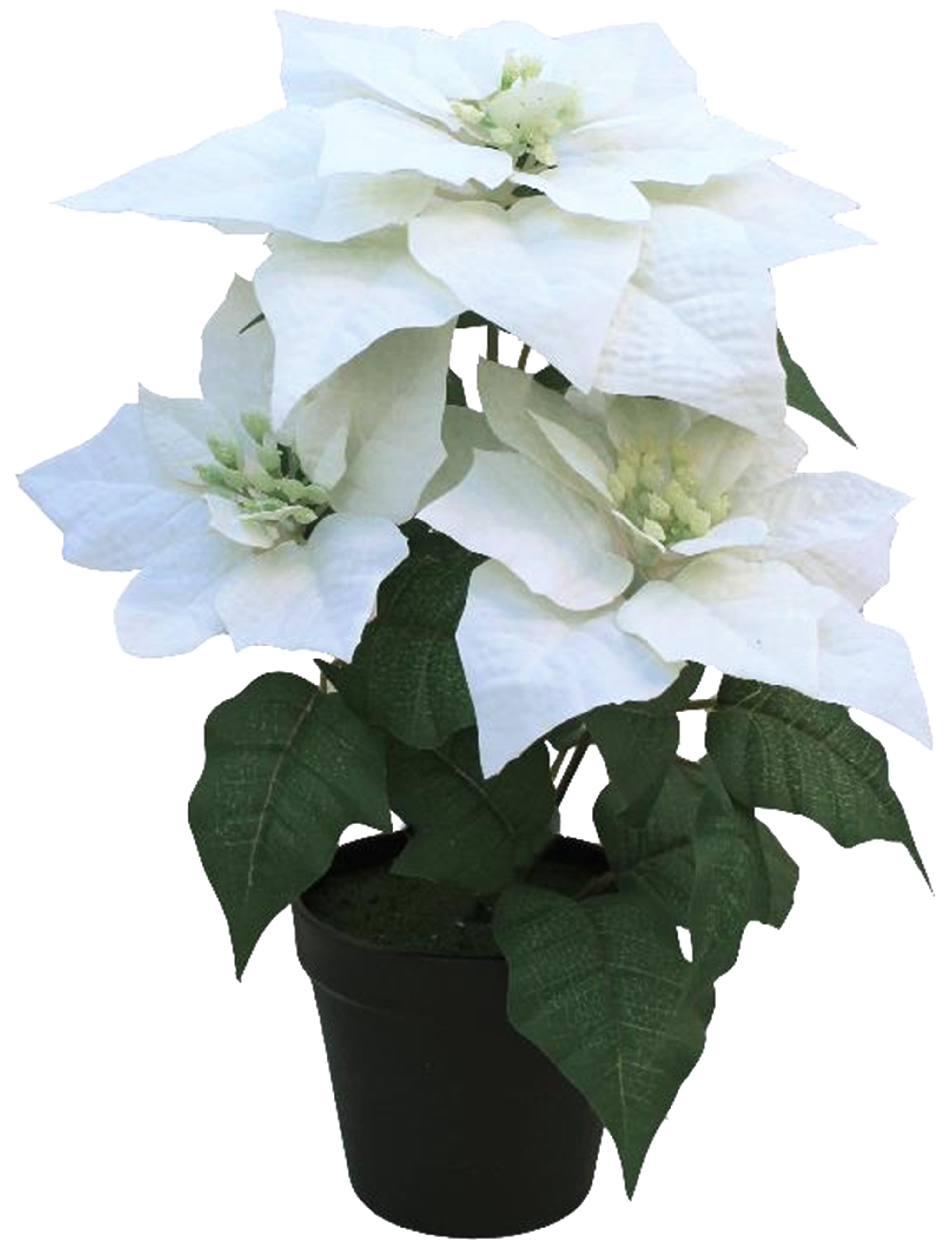 Mazo de flor de pascua artificial 3 flores blancas 30x40 cm |  Leroy Merlin