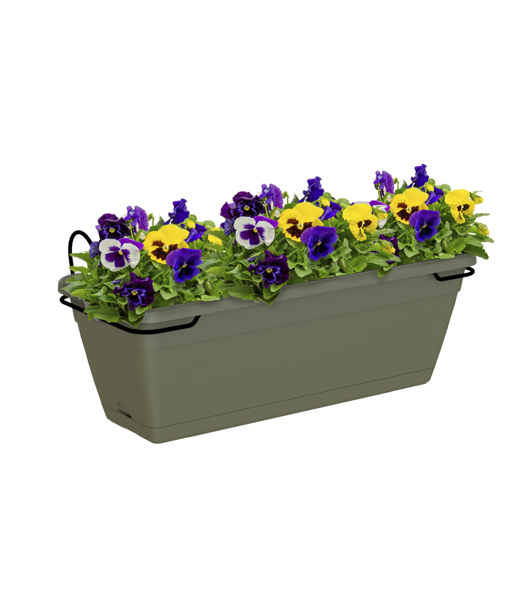 Kit jardinera auto riego de polipropileno venezia verde 49 x19.5 cm + soporte de la marca ARTEVASI Kit jardinera auto riego de polipropileno venezia verde 49 x19.5 cm + soporte de la marca ARTEVASI