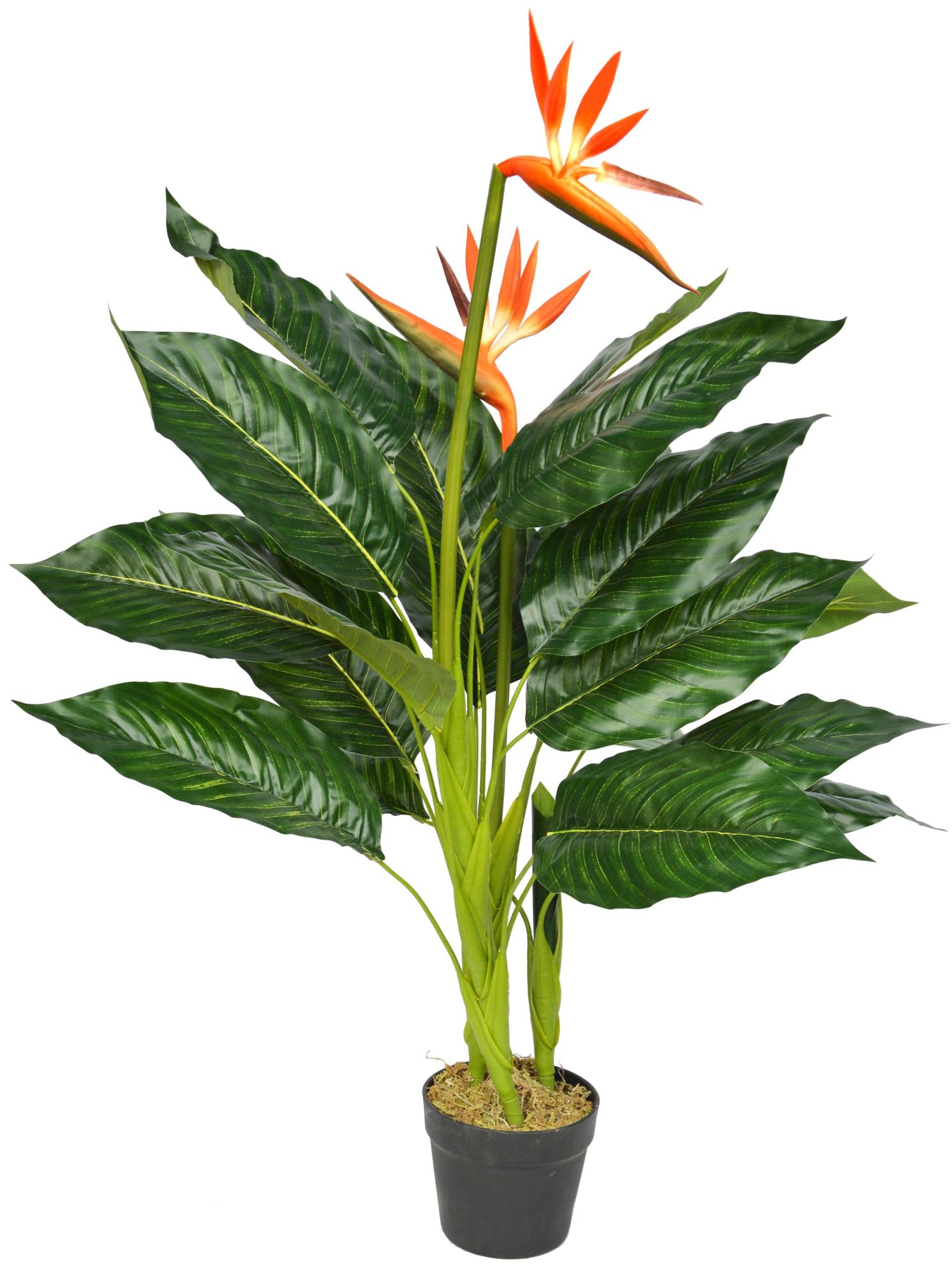 Planta artificial esterlizia de 100 cm de altura en maceta de 12 cm de la marca Sin marca