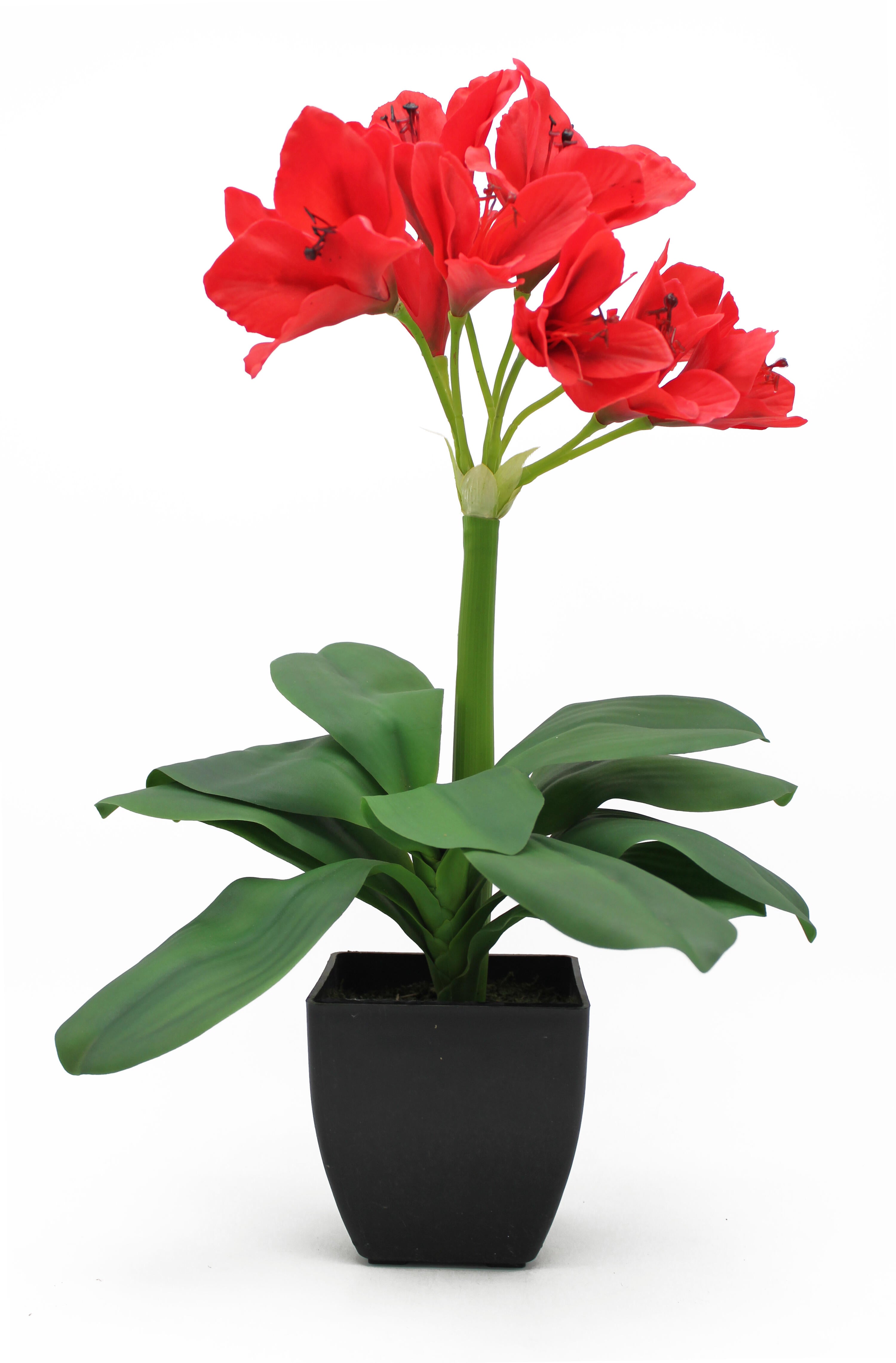 Planta artificial Amarilis roja de 60 cm de altura en maceta de 12 cm |  Leroy Merlin