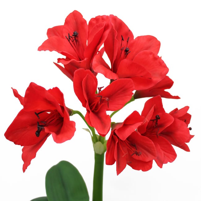 Planta artificial Amarilis roja de 60 cm de altura en maceta de 12 cm |  Leroy Merlin