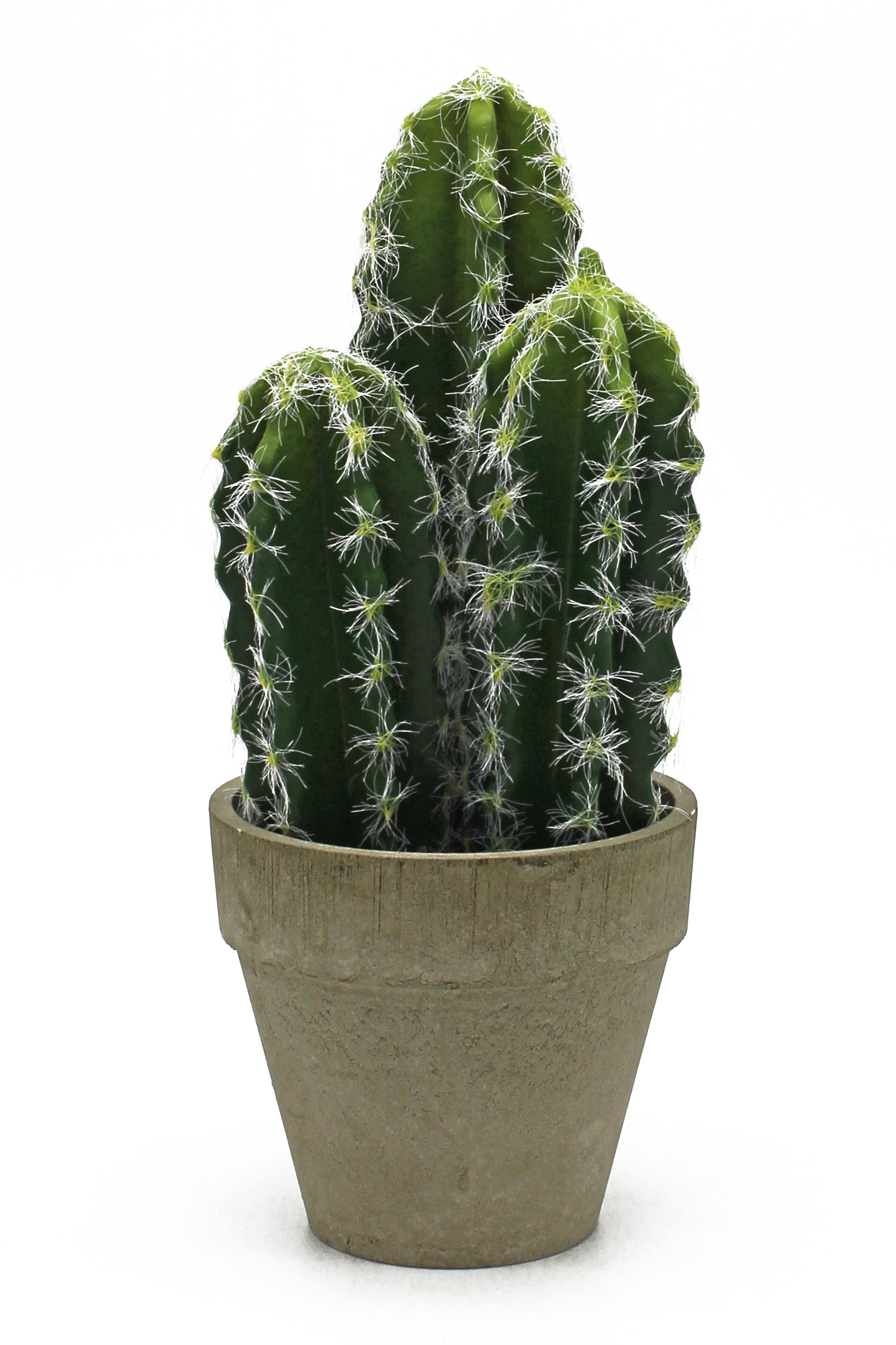 Planta artificial cactus de 25 cm de altura en maceta de 10.5 cm