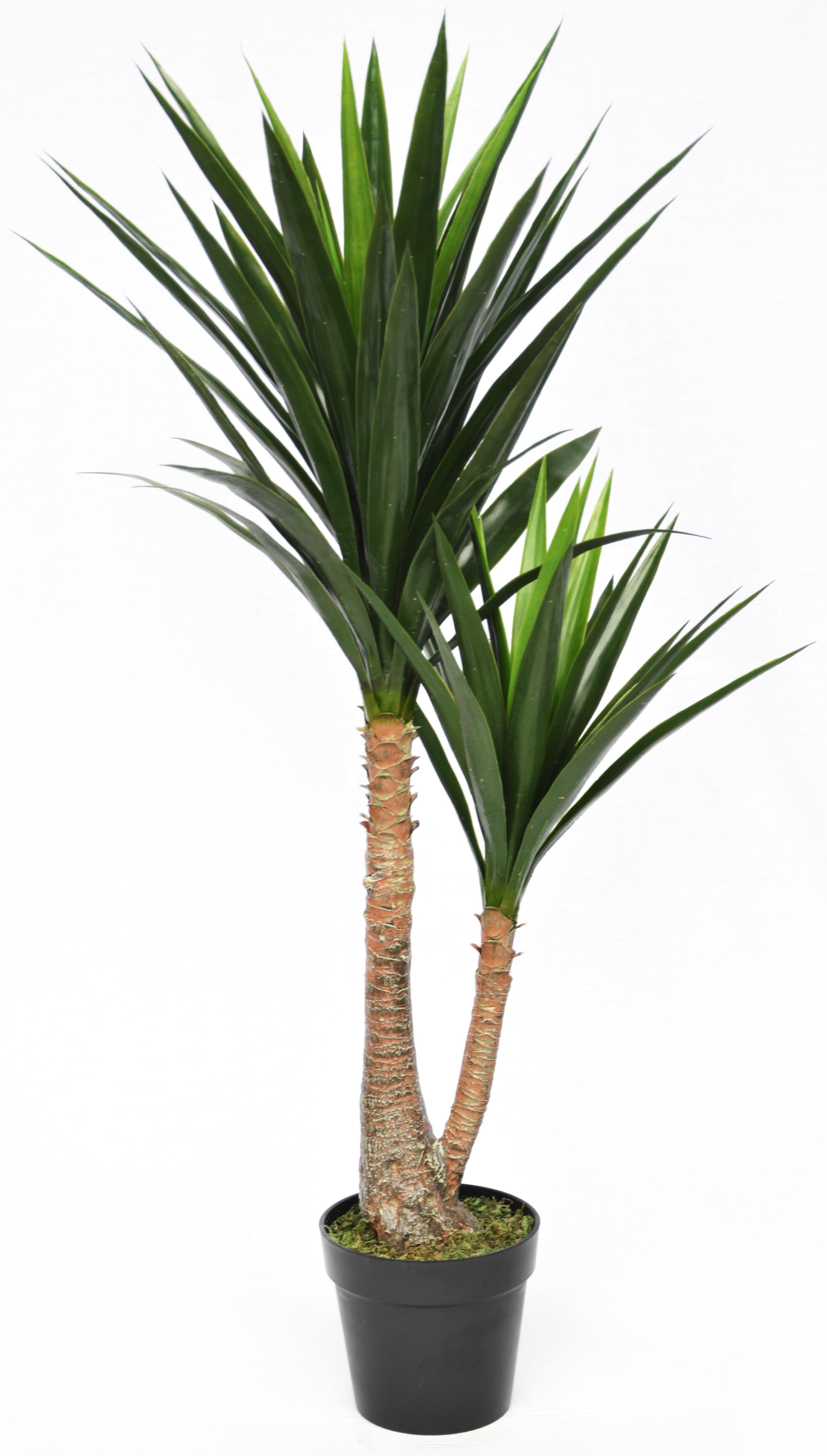 Planta artificial yuca de 120 cm de altura en maceta de 16 cm