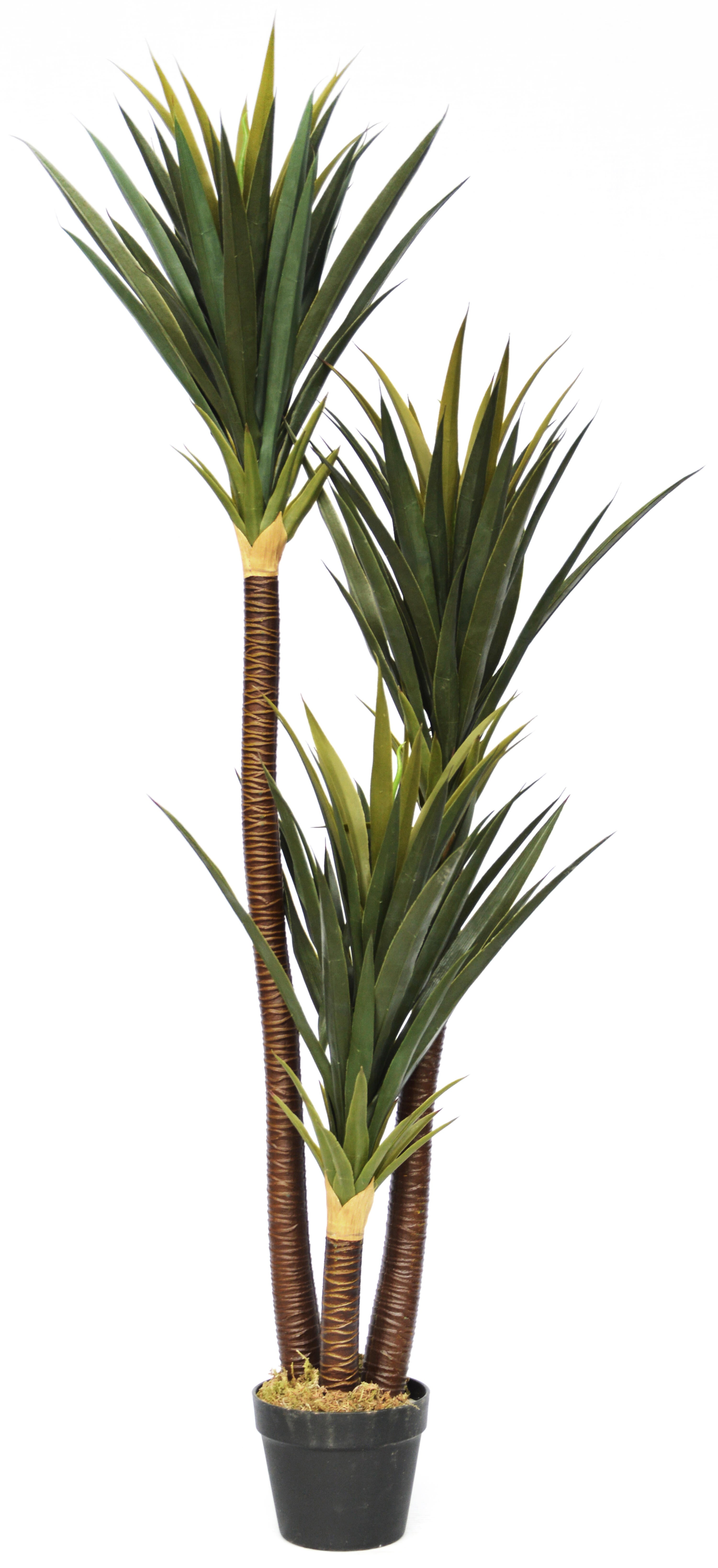 Planta artificial yuca de 150 cm de altura en maceta de 17.5 cm