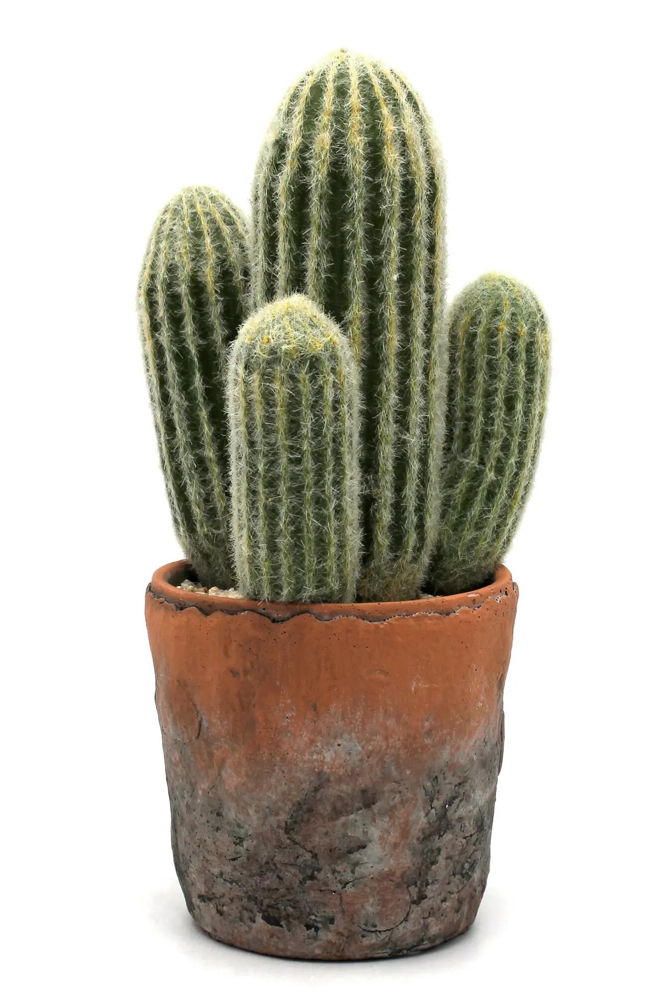 Planta artificial cactus de 31 cm de altura en maceta de 13 cm