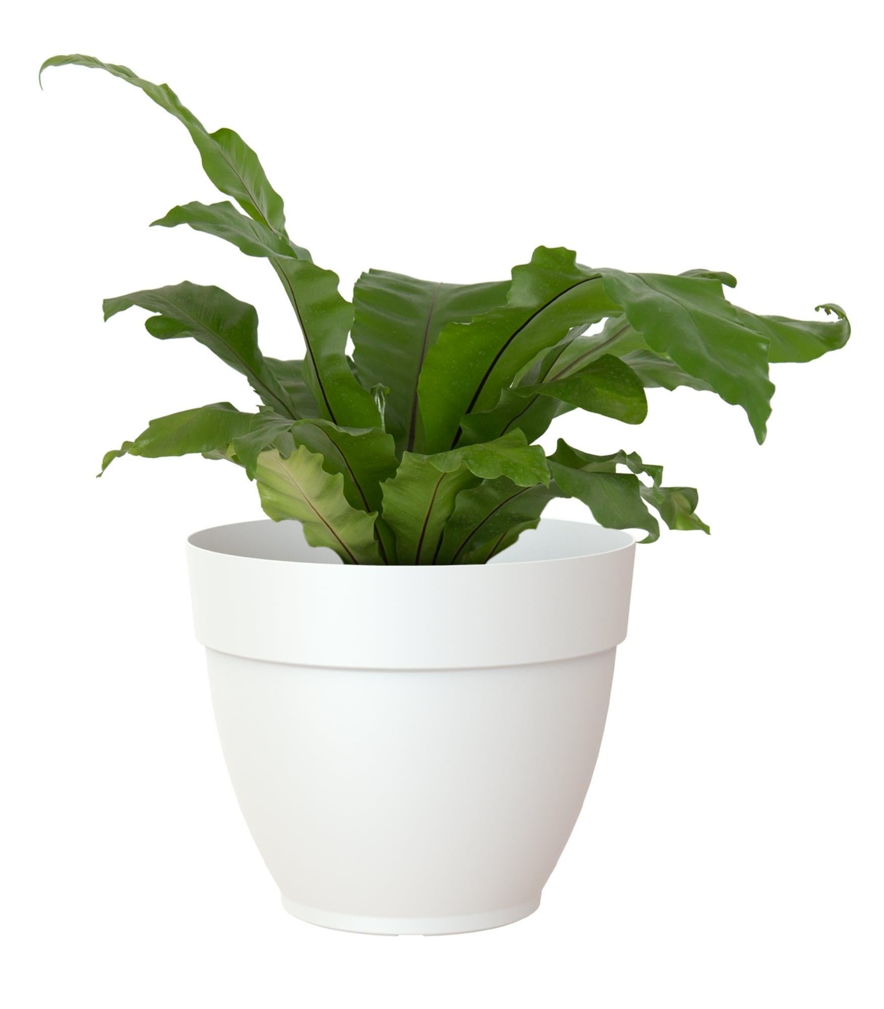 Maceta de polipropileno capri campana blanca ø 70 cm de la marca ARTEVASI