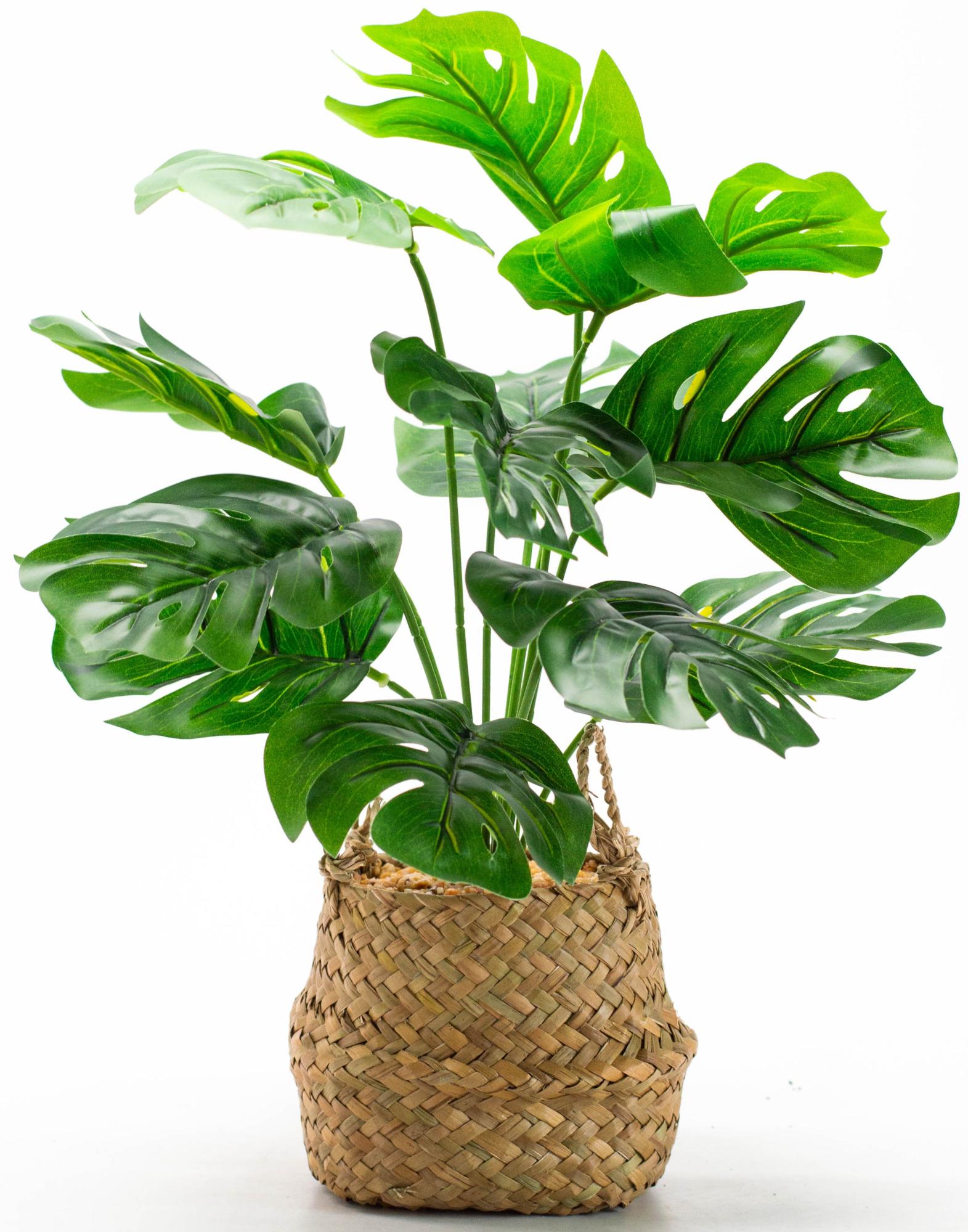 Planta artificial monstera 46 cm en maceta de 13 cm de la marca Sin marca