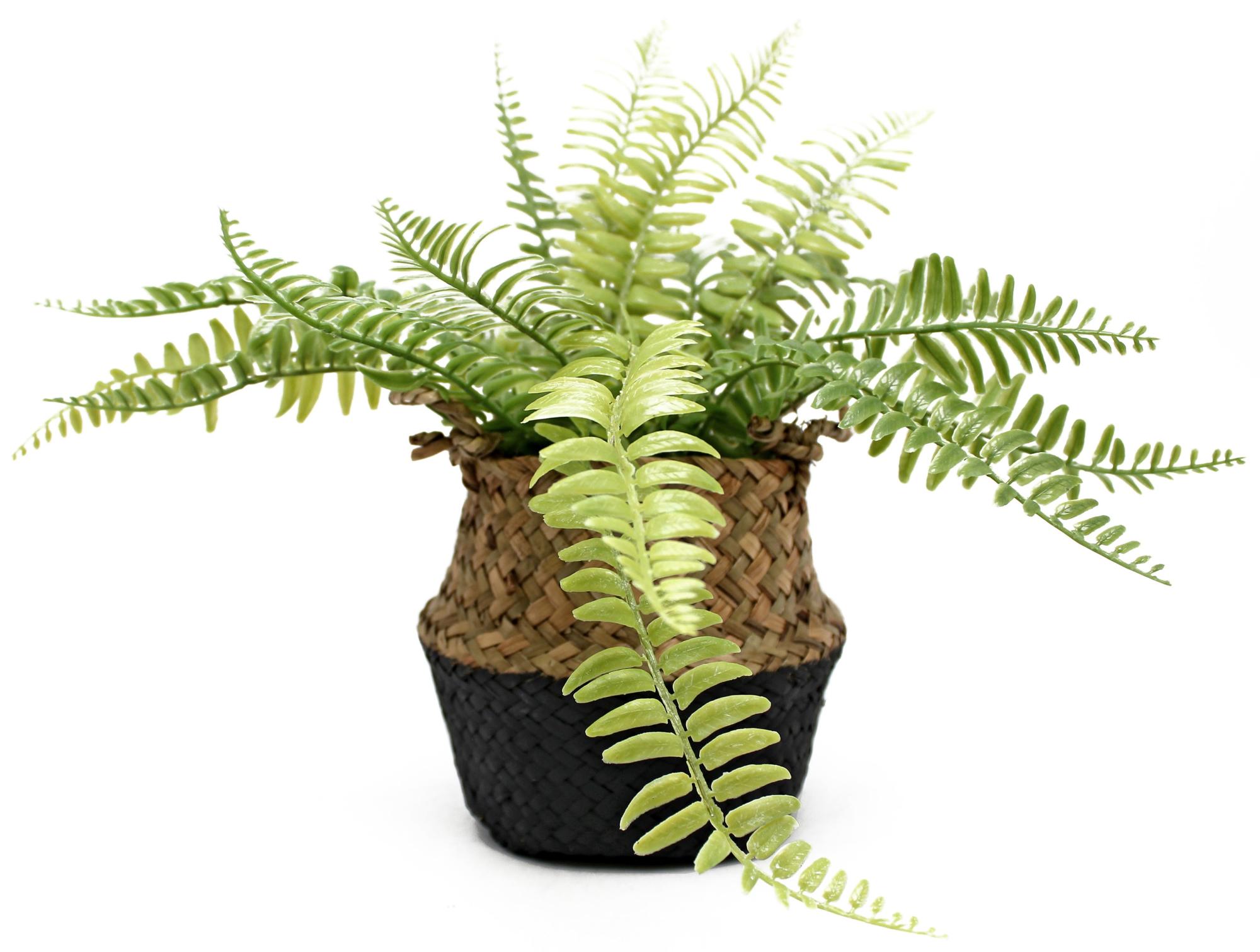 Planta artificial helecho 38 cm en maceta de 13 cm de la marca Sin marca