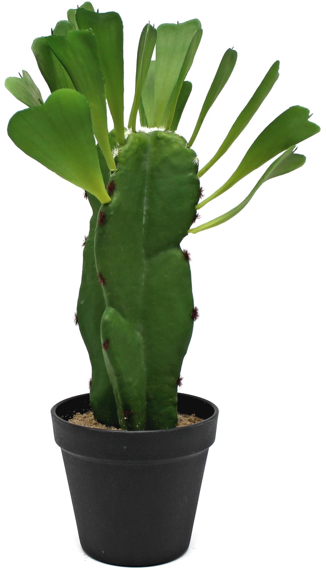 Planta artificial cactus hojas 44 cm en maceta de 11 cm