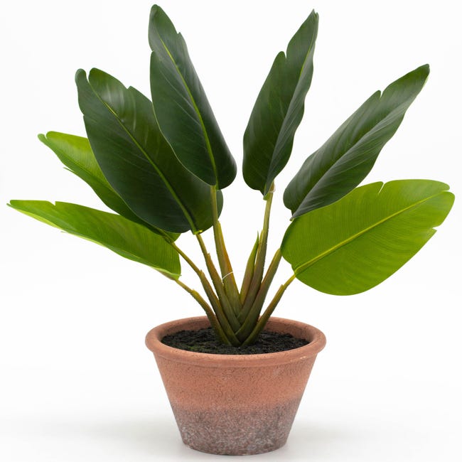 Planta artificial Ave paraiso 31,5 cm en maceta de 12 cm | Leroy Merlin