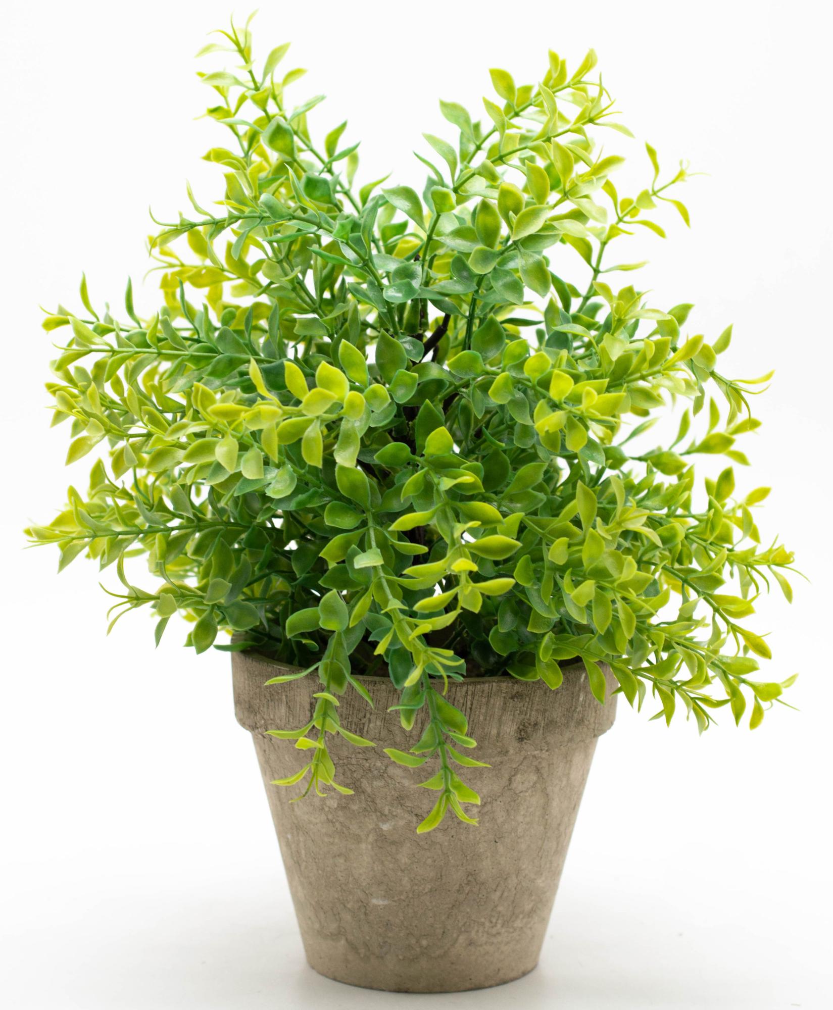 Planta artificial rustica 32 cm en maceta de 13 cm