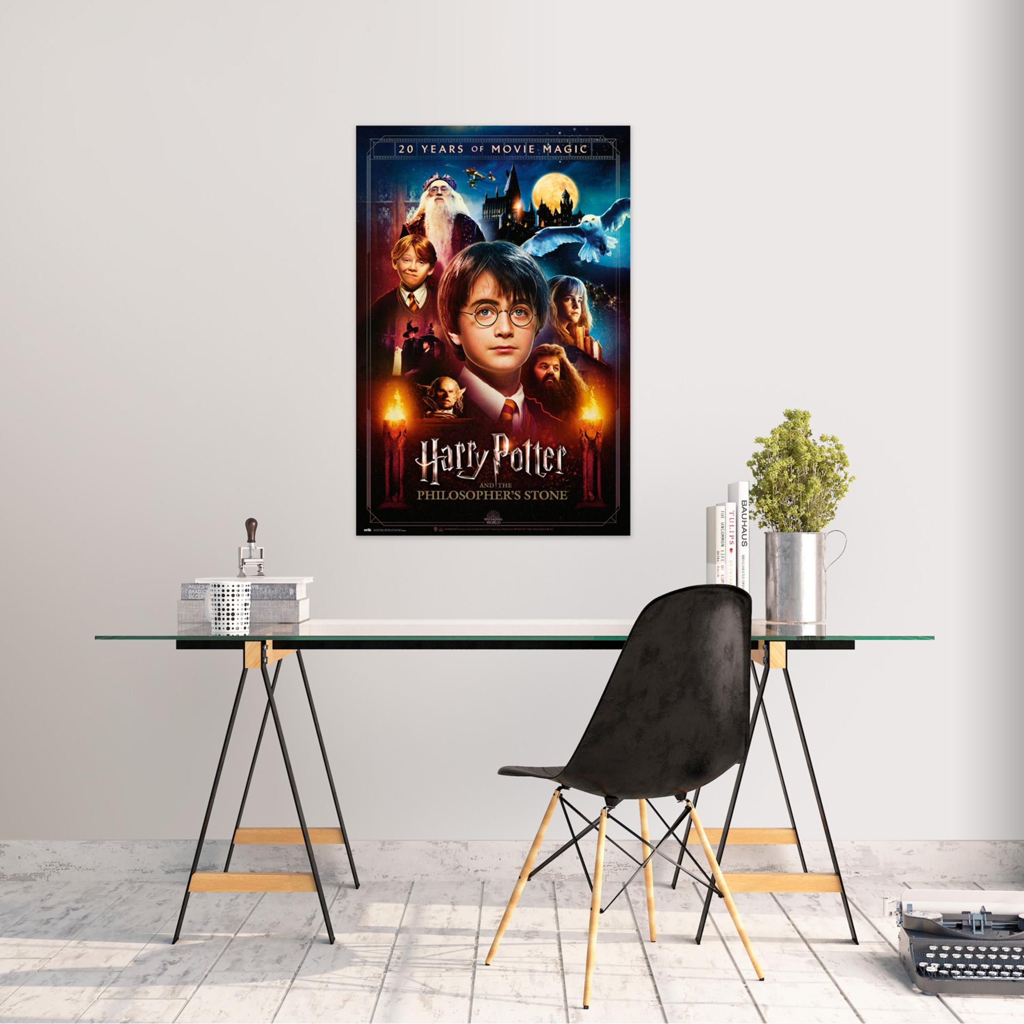 HARRY POTTER Poster Serdaigle (91,5 x 61 cm)