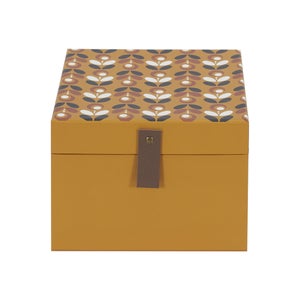 TIENDA EURASIA - Pack 5 Cajas con Tapa de Almacenamiento, Asa Troquelada,  Cartón Reforzado 53x40,5x26cm