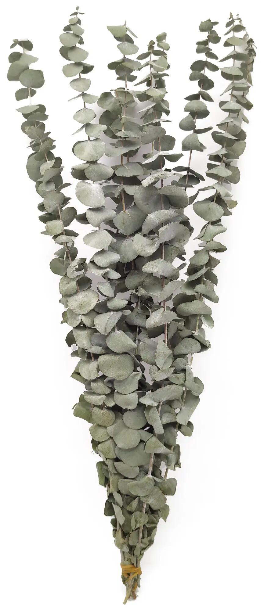Vara eucalipto artificial gris 81cm