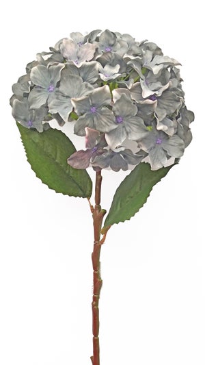 Hortensias artificiales: compra online | Leroy Merlin