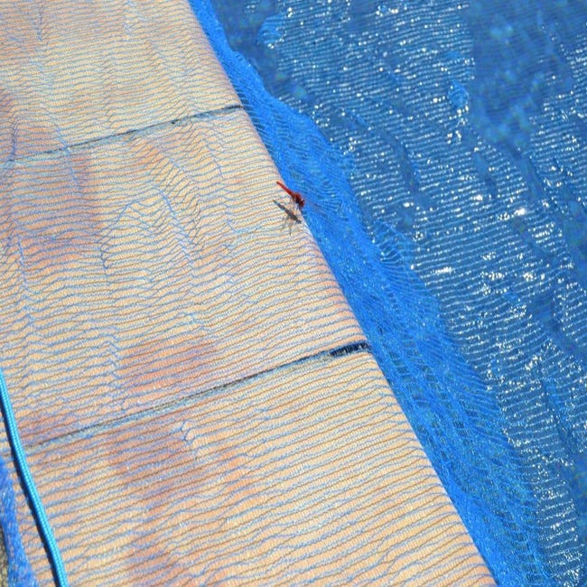 Lona para Piscina rectangular 8x14 m - TECPLAST 155PI – Lona con Red de  drenaje- Cobertor de piscina 