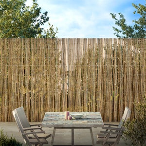 Cañizo bambú entero jardin 1 x 5 m, útil para ocultación, delimitación o  sombrajes