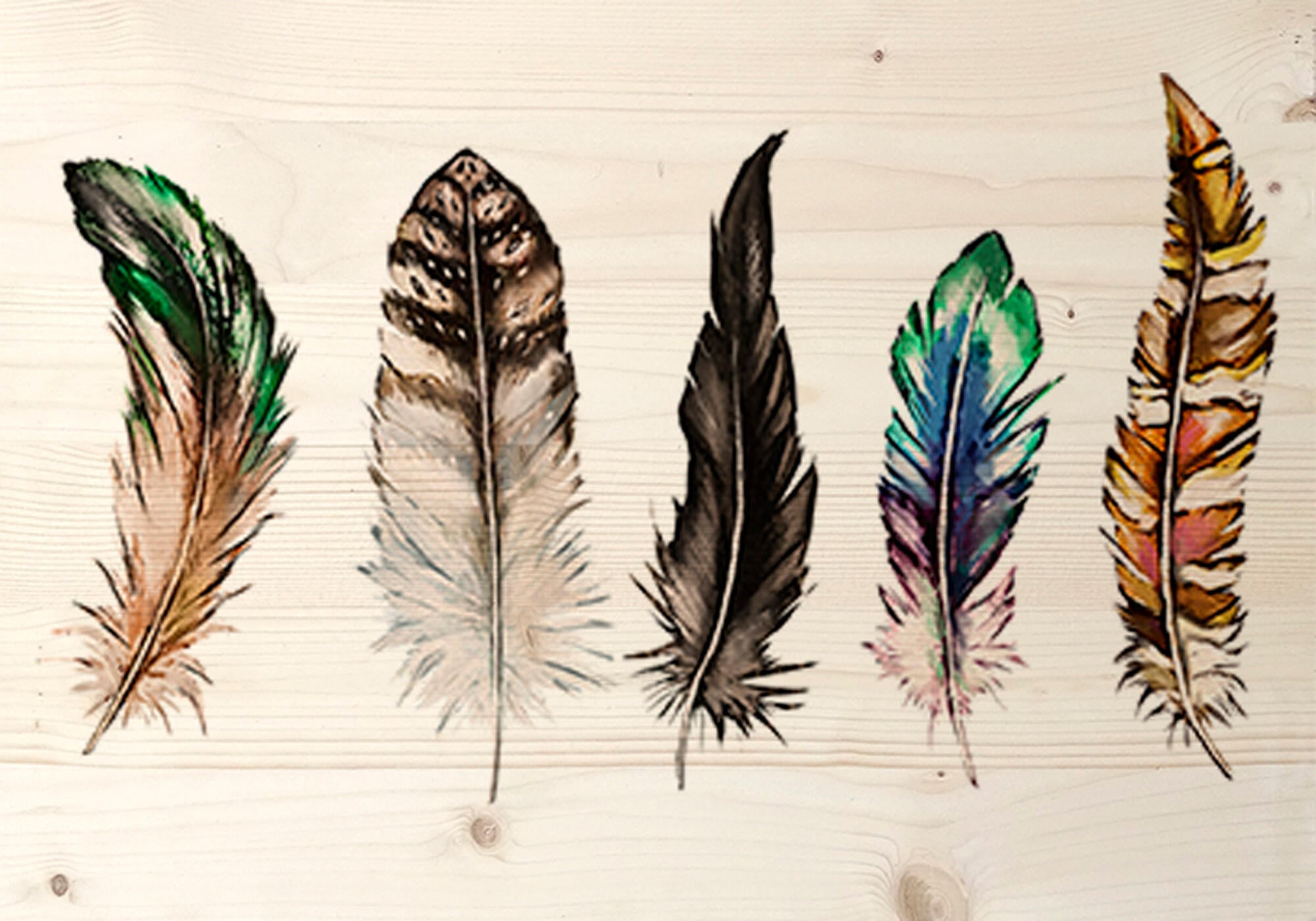 Tapa contador plumas colores 50 cm x 35 cm
