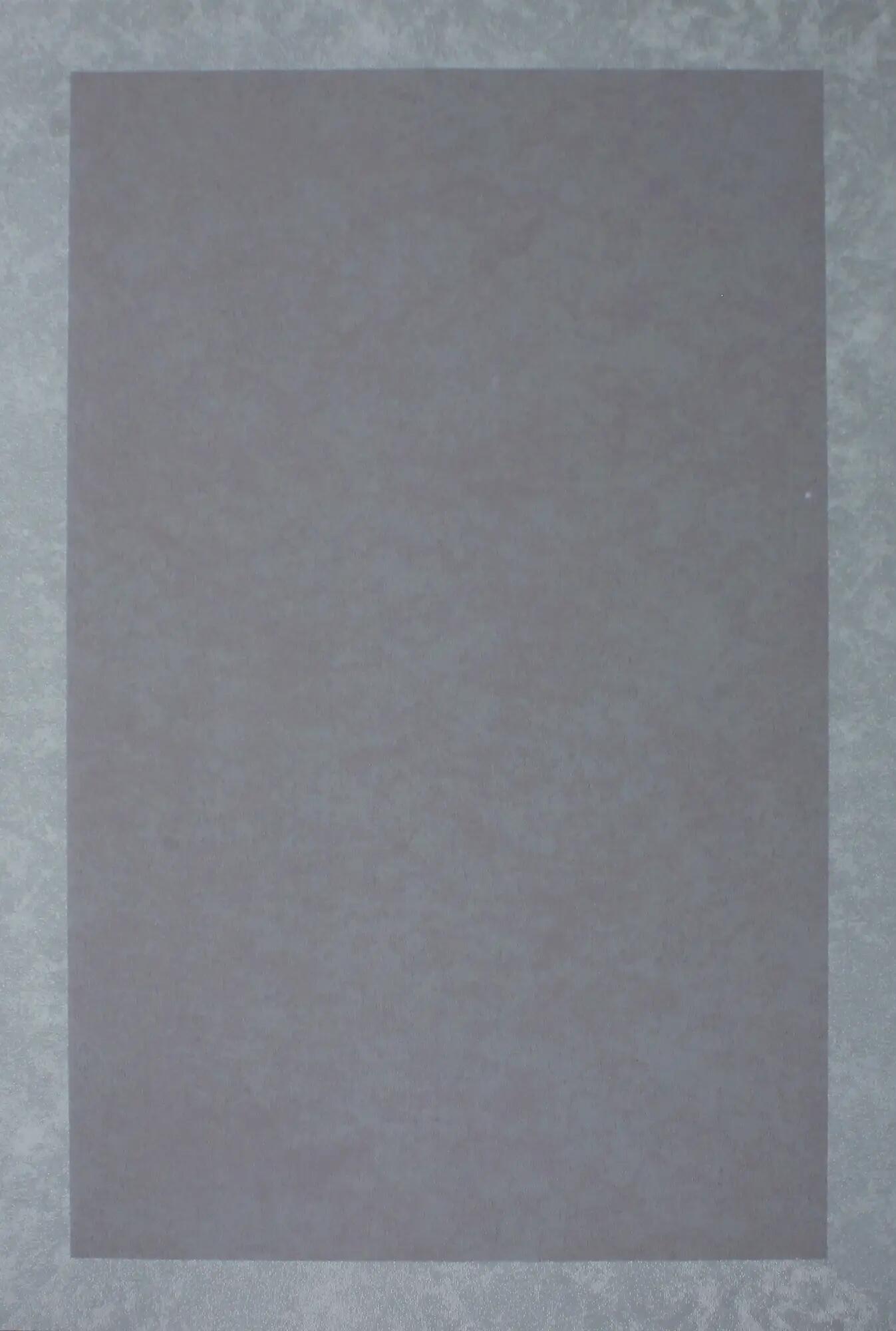Alfombra exterior/interior pvc teplon jacquard purpura / gris perla 140x200cm