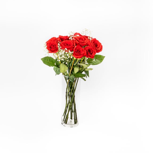 Ramo de 12 rosas rojas y paniculata | Leroy Merlin