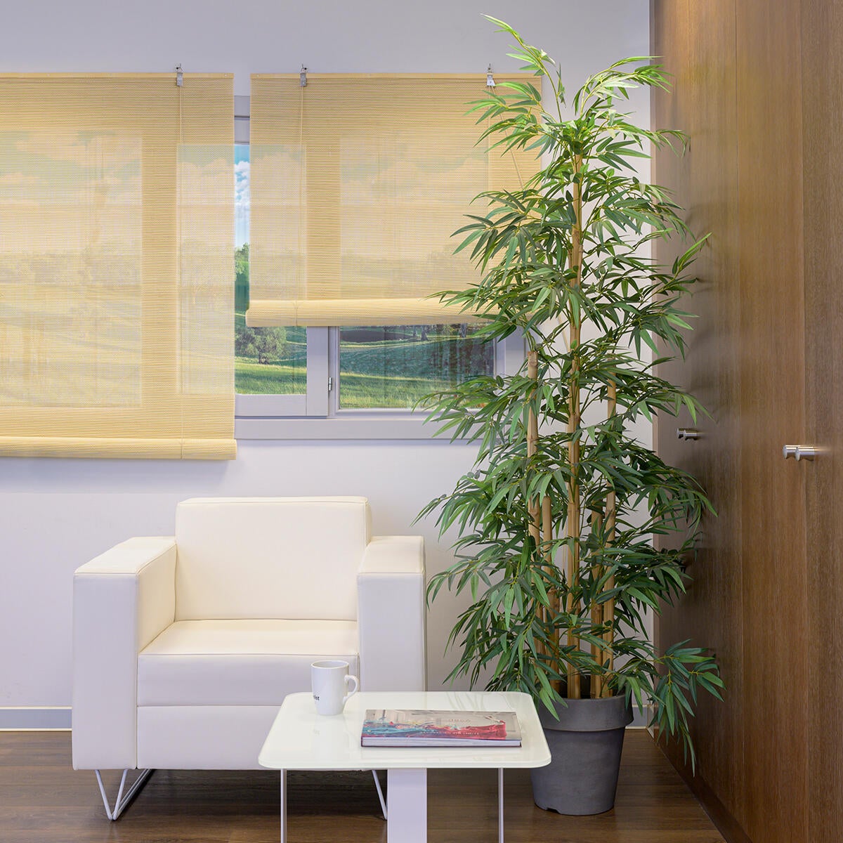 Estor enrollable translúcido bambú natural beige de 120x250cm