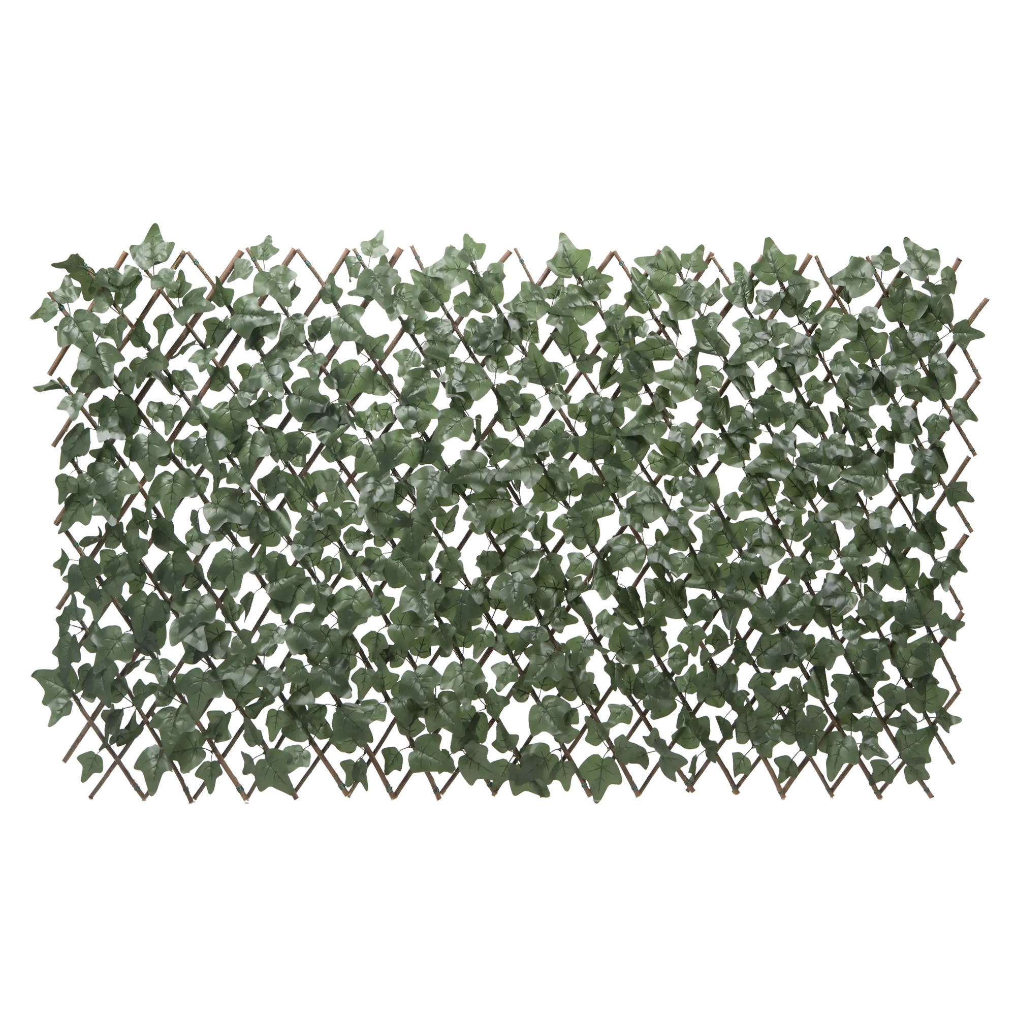 Celosía extensible de rattan en hojas de hiedra 1 x 2 m