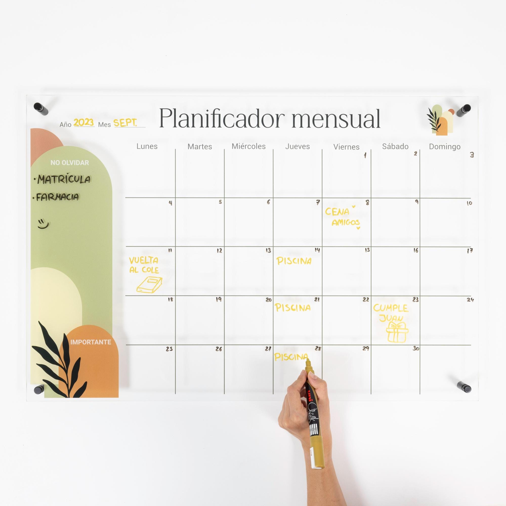 Calendario De Pared Borrable Anual - Tamaño 150x85 Cm, Sin Fechas Fijas, Para Planificar (se Limpia En Húmedo/seco, Regalo Práctico)