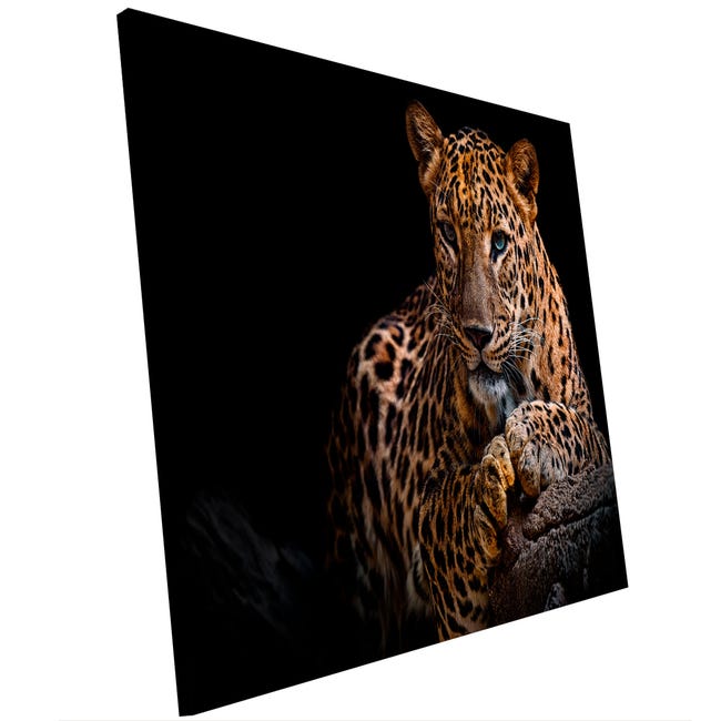 Pinturas de Pared con Marco de Madera MDF Negro 100x70 Leopardo en el baúl