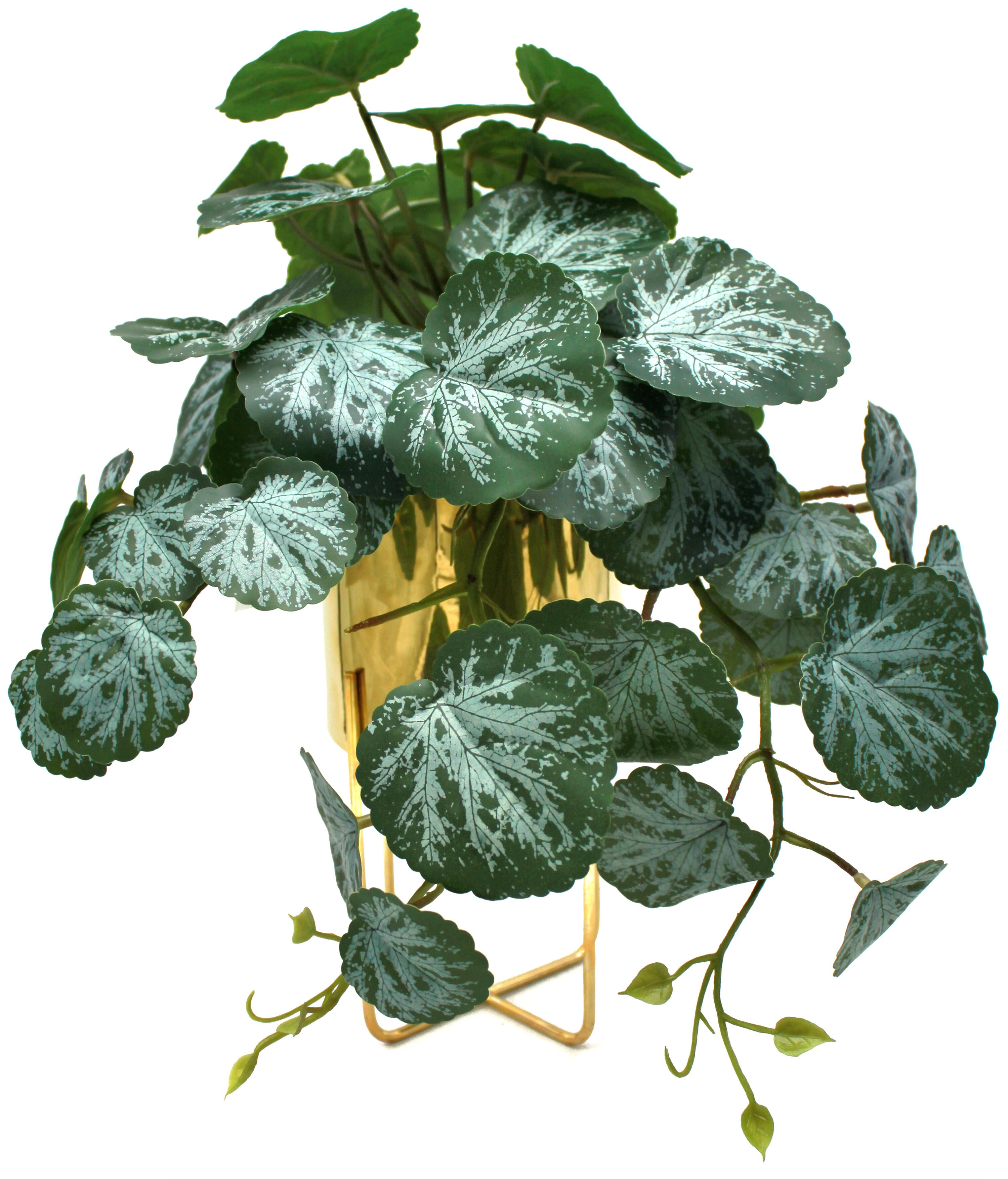 Planta artificial peperonia de 42 cm de altura en maceta de 13 cm