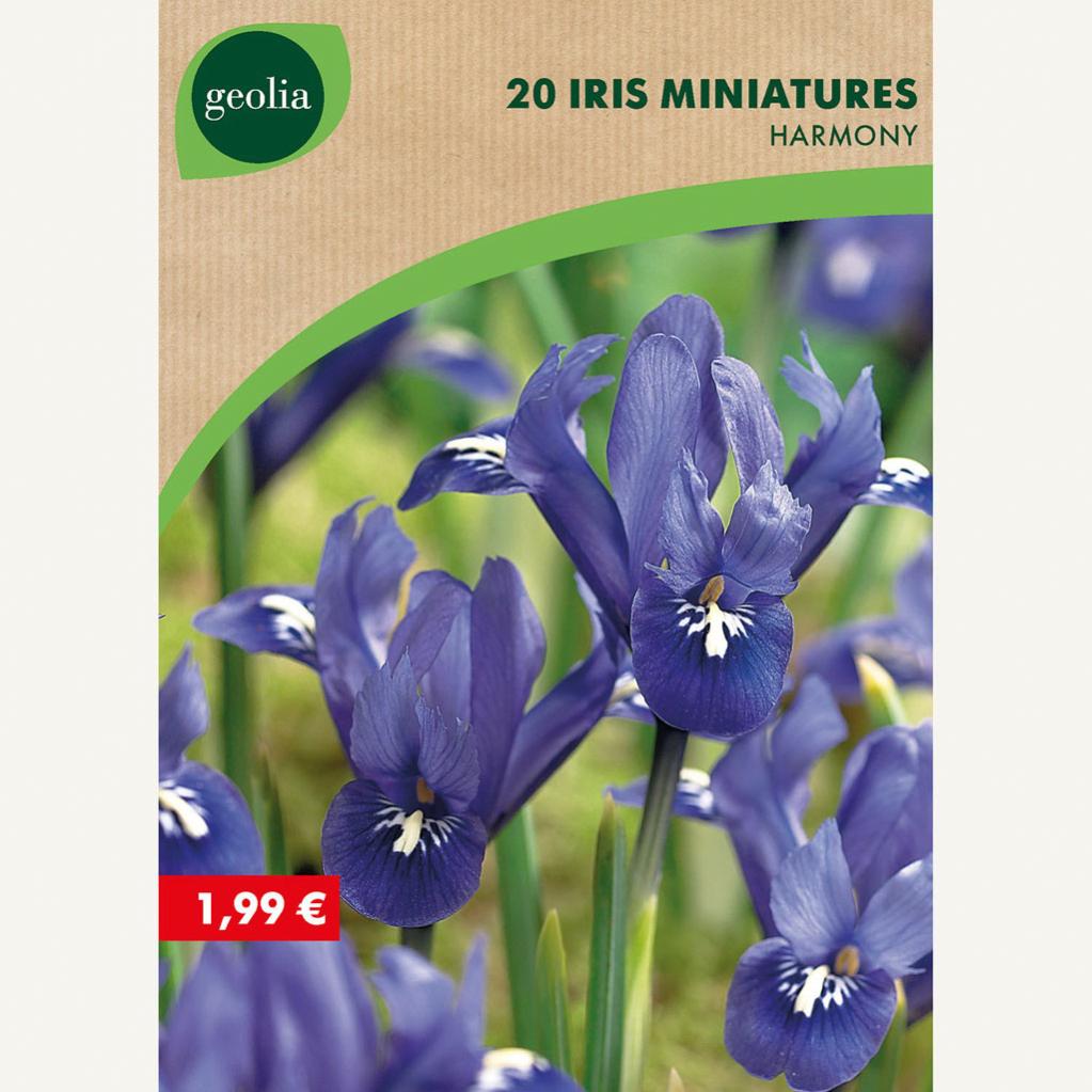 20 iris bot harmony 5/6 bleu | Leroy Merlin