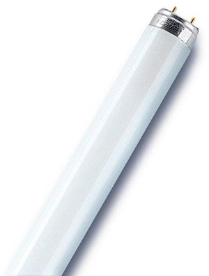 Tube Neon 15W - T8 - Socle G13 - 43.5cm Pour Hotte